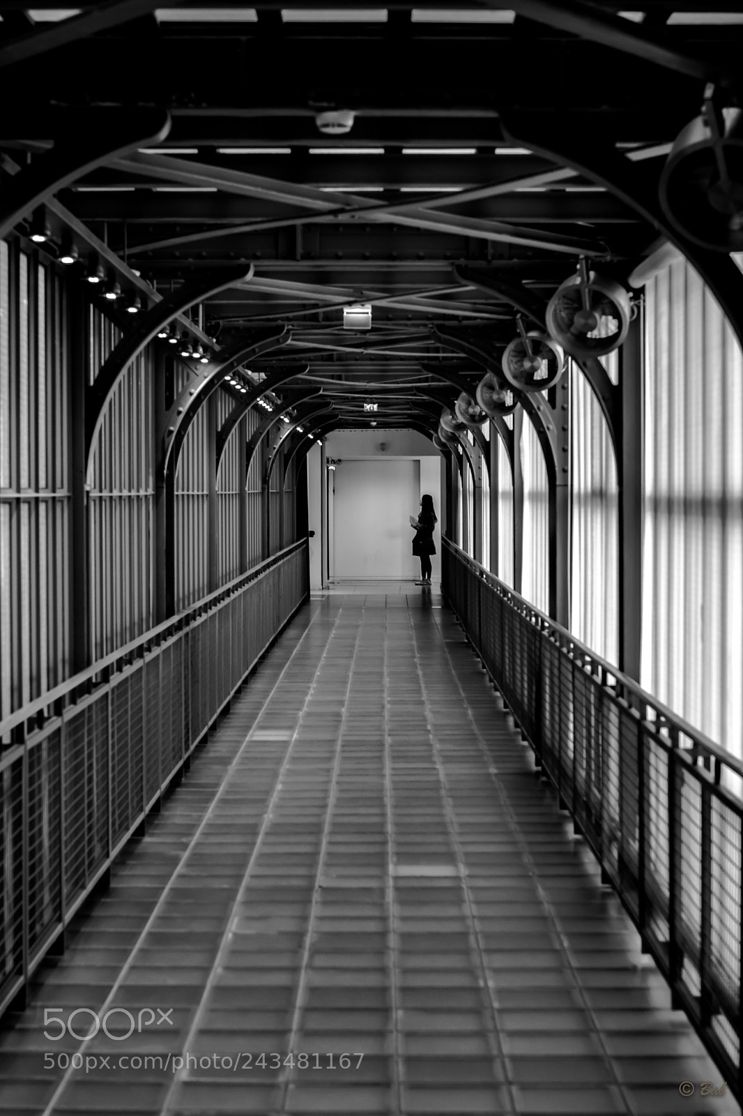 Fujifilm X-T2 sample photo. Profondeur photography