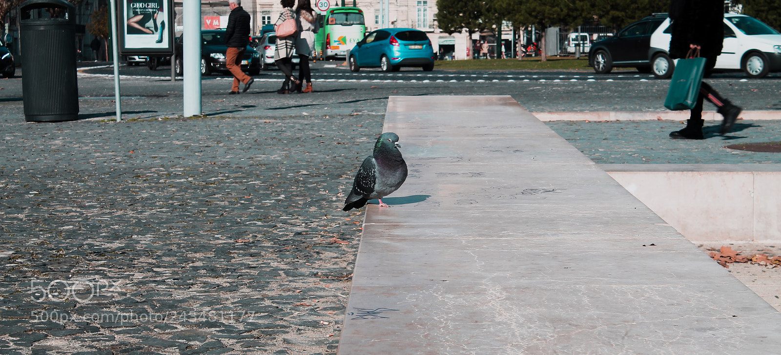 Canon EOS 1100D (EOS Rebel T3 / EOS Kiss X50) sample photo. Lil' pigeon* photography