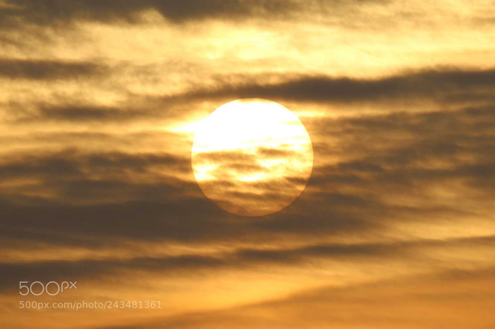Tamron SP 150-600mm F5-6.3 Di VC USD sample photo. 冬日的朝日the sunrise in winter photography