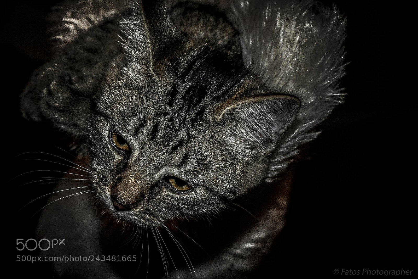 Nikon D7100 sample photo. () photography
