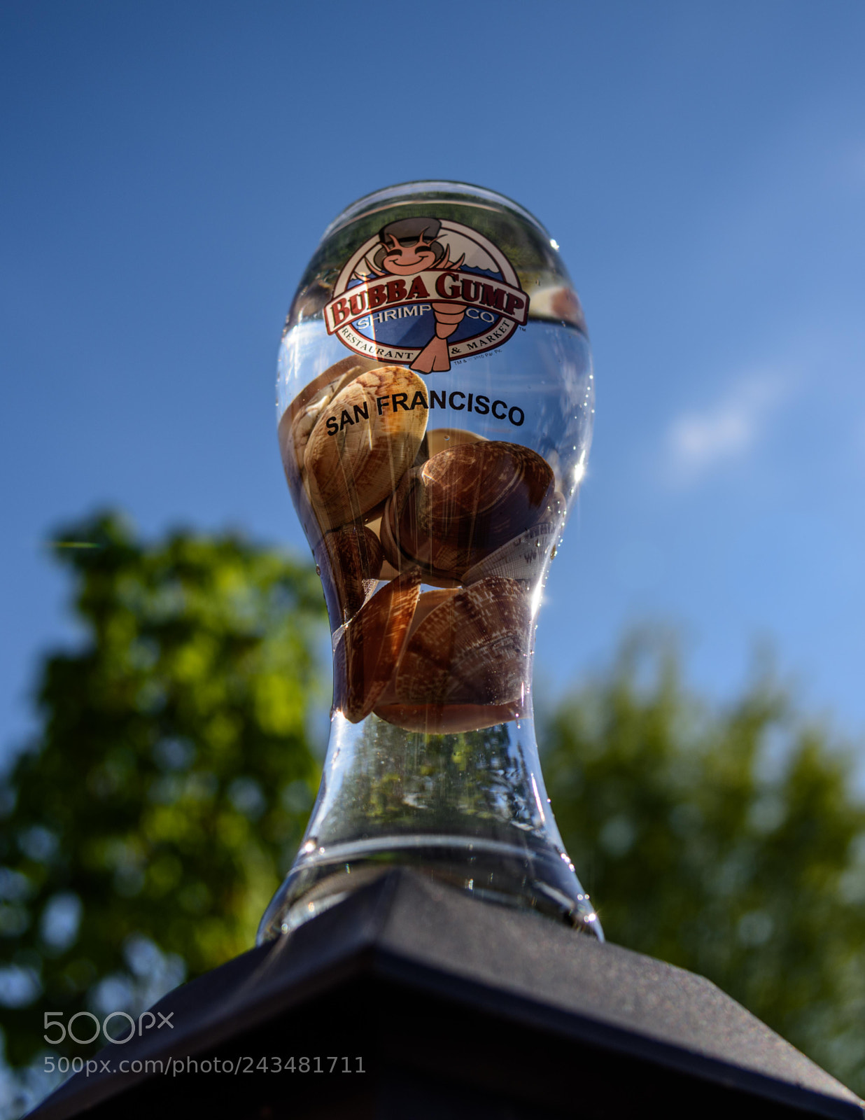 Nikon D810 sample photo. Bubba gump photography