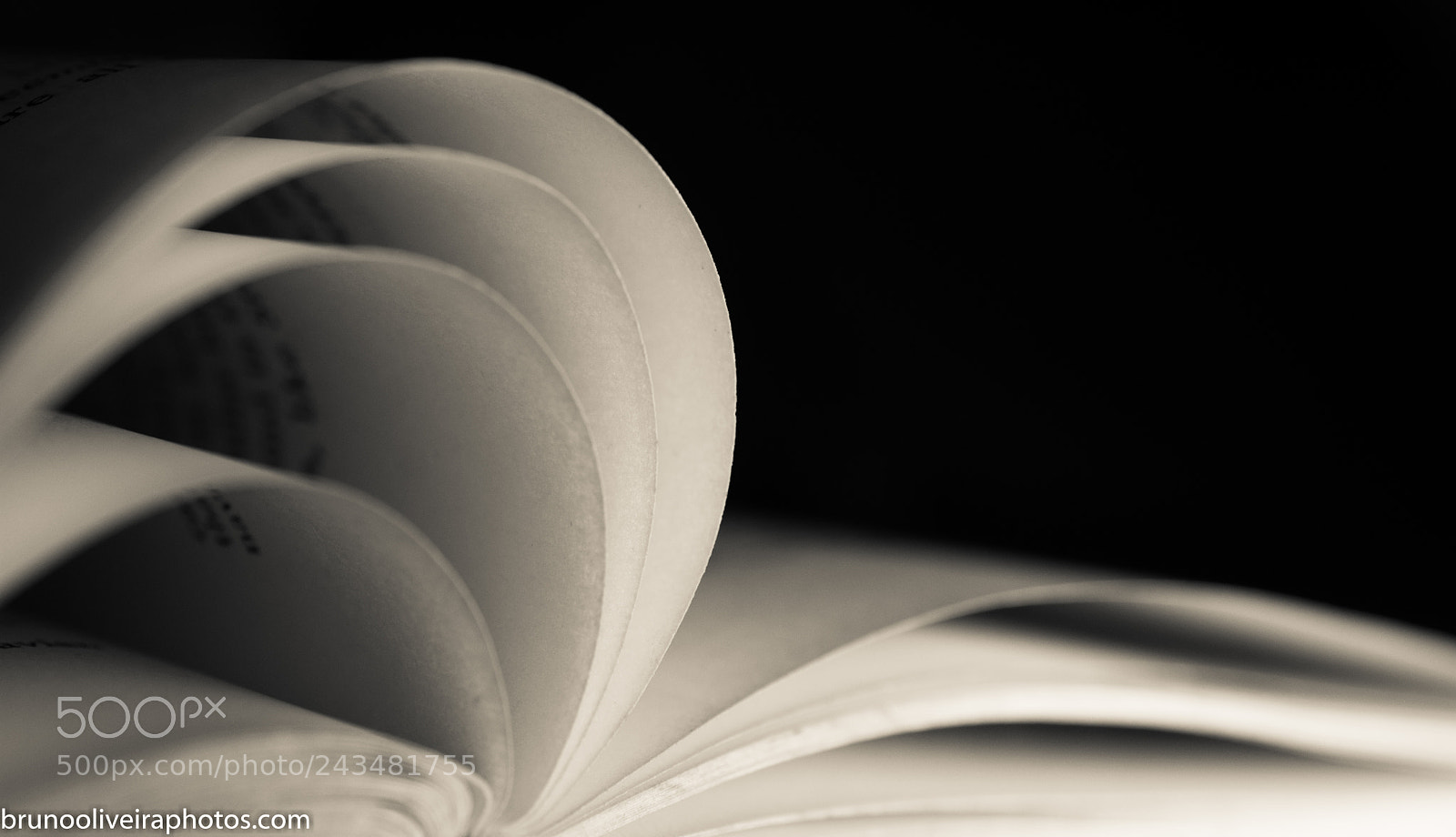 Nikon D7200 sample photo. Pages photography