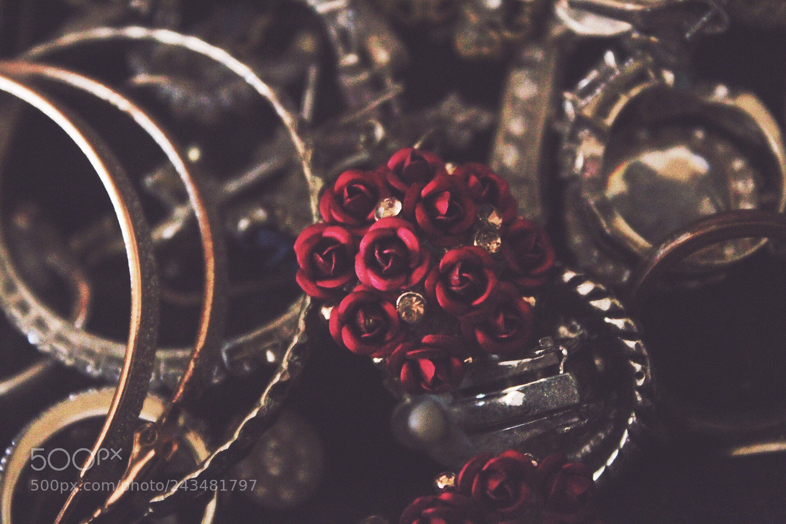 Canon EOS 1300D (EOS Rebel T6 / EOS Kiss X80) sample photo. Rose earrings! photography