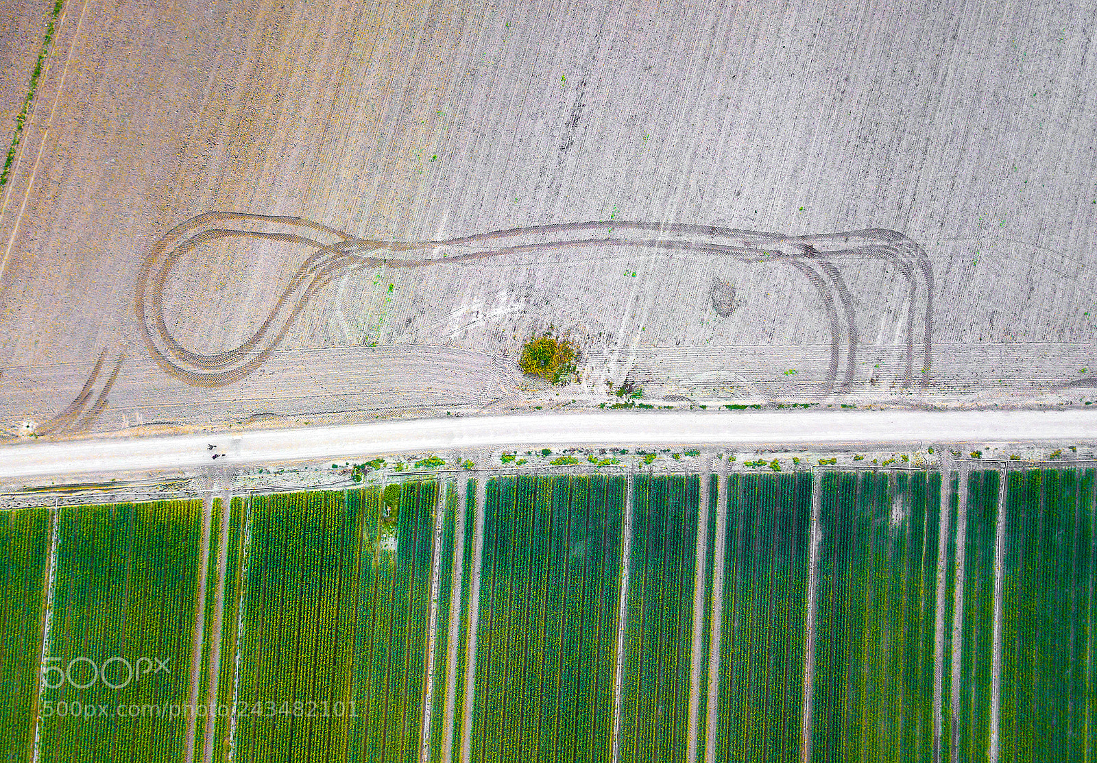 DJI FC220 sample photo. Boys will be boys... photography