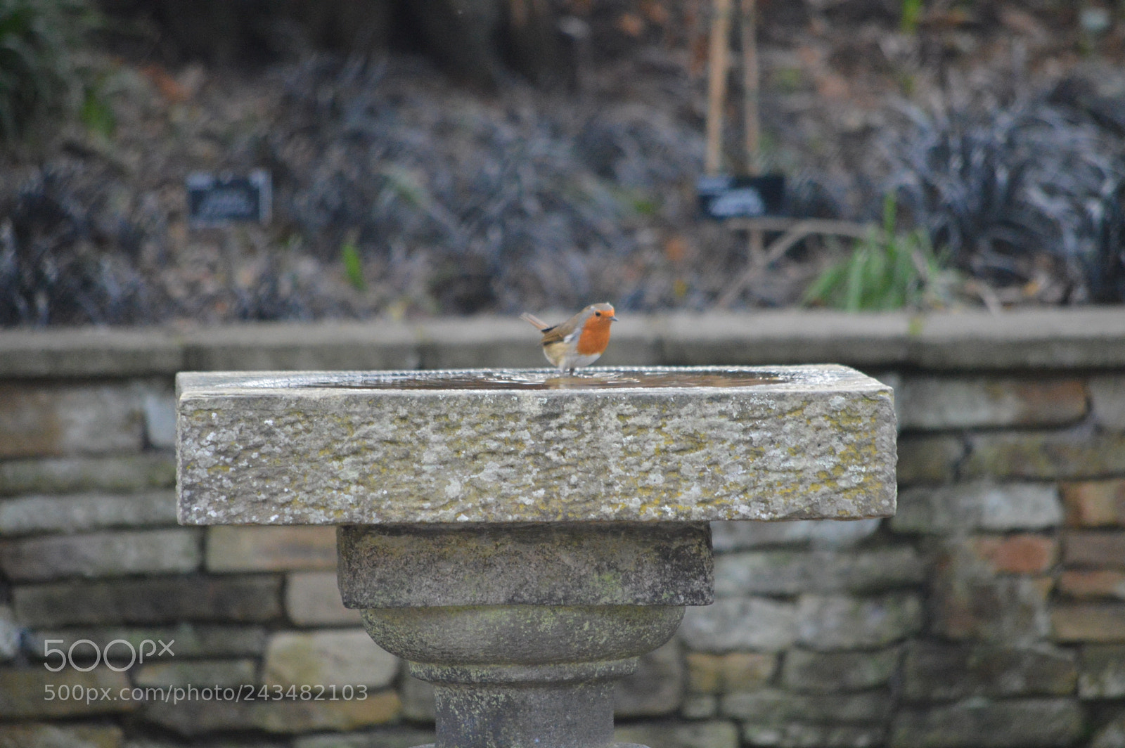 Nikon D3200 sample photo. Dsc photography