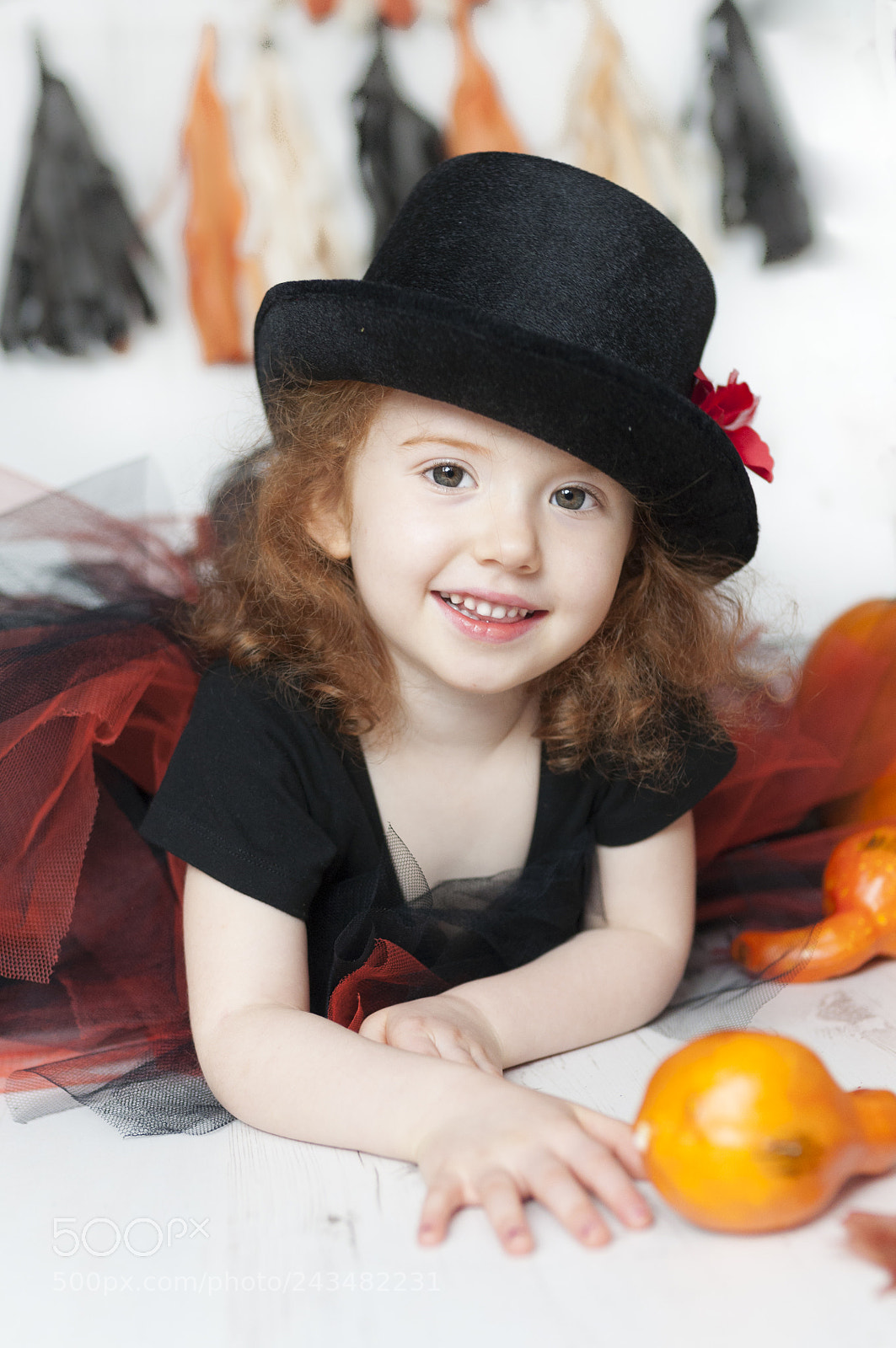 Nikon D5000 sample photo. Untitled photography