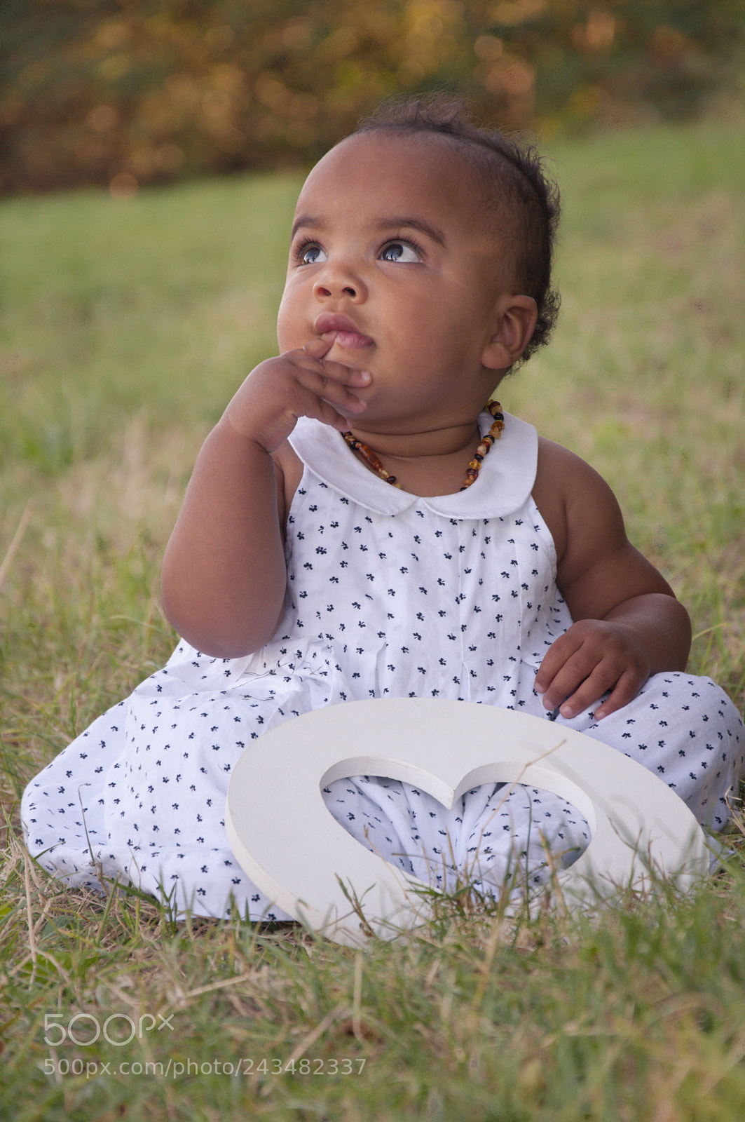 Nikon D5000 sample photo. Untitled photography