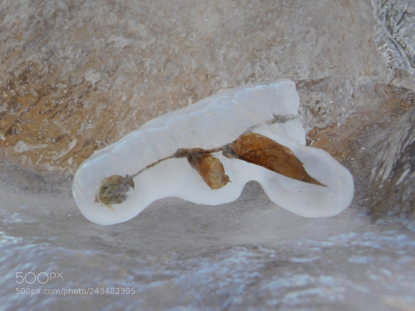 Nikon Coolpix B500 sample photo. Frozen photography