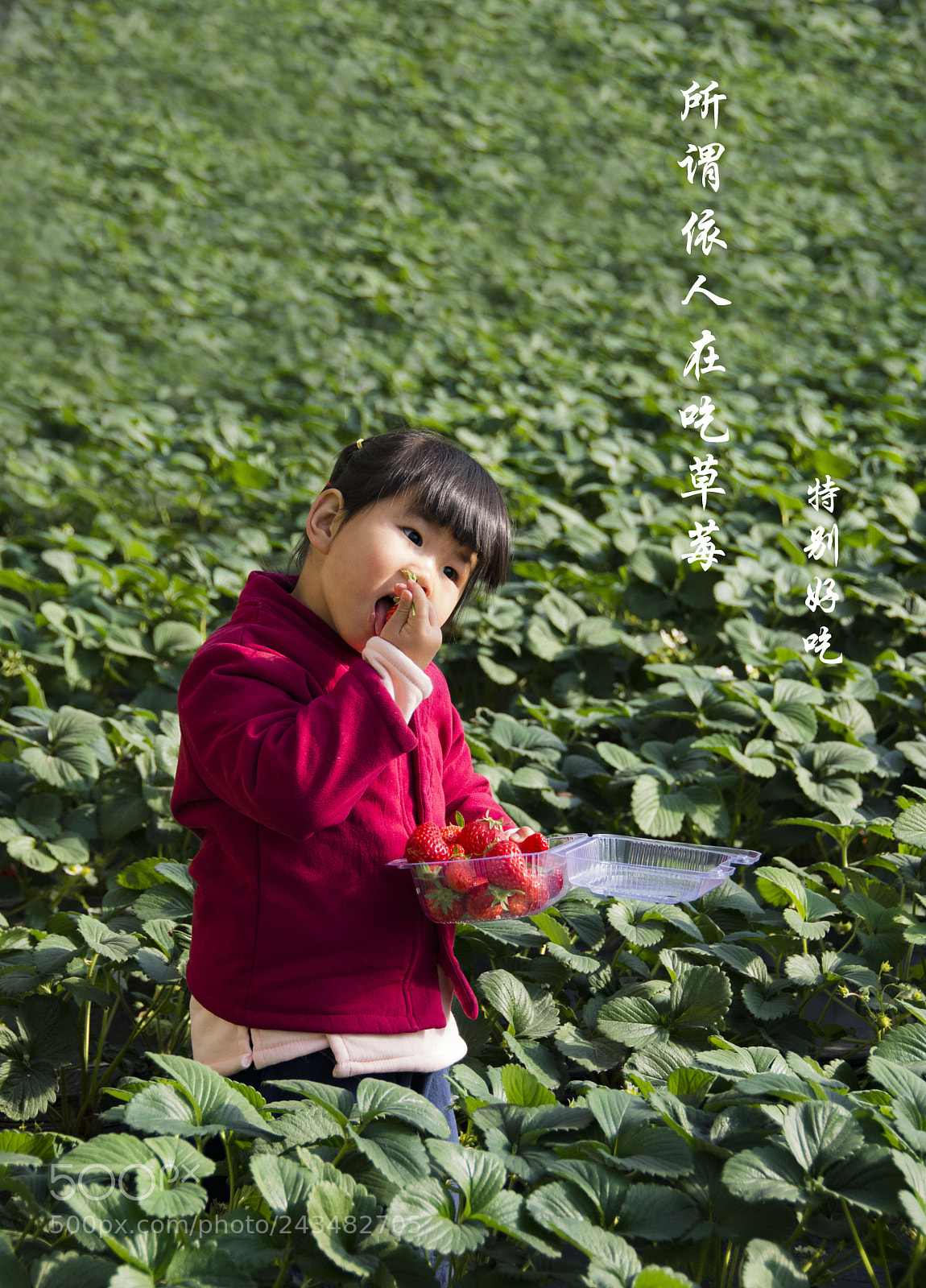 Nikon D7200 sample photo. 我的宝贝 photography