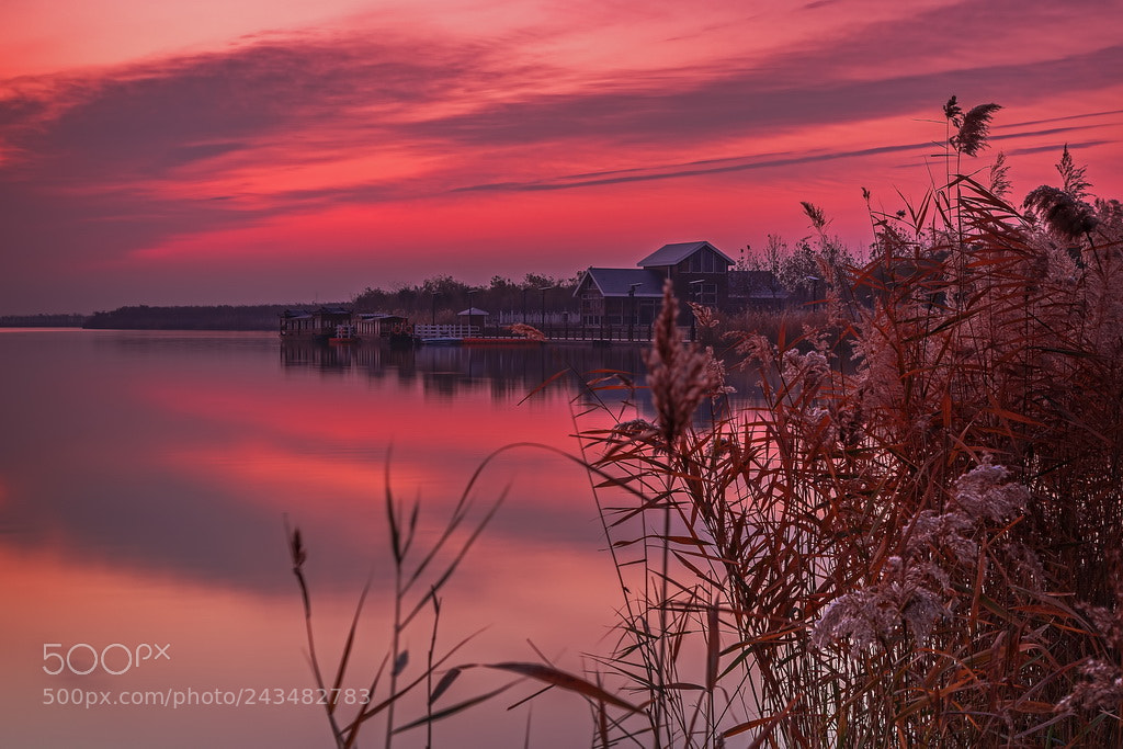 Canon EOS 6D Mark II sample photo. A smoggy dawn photography