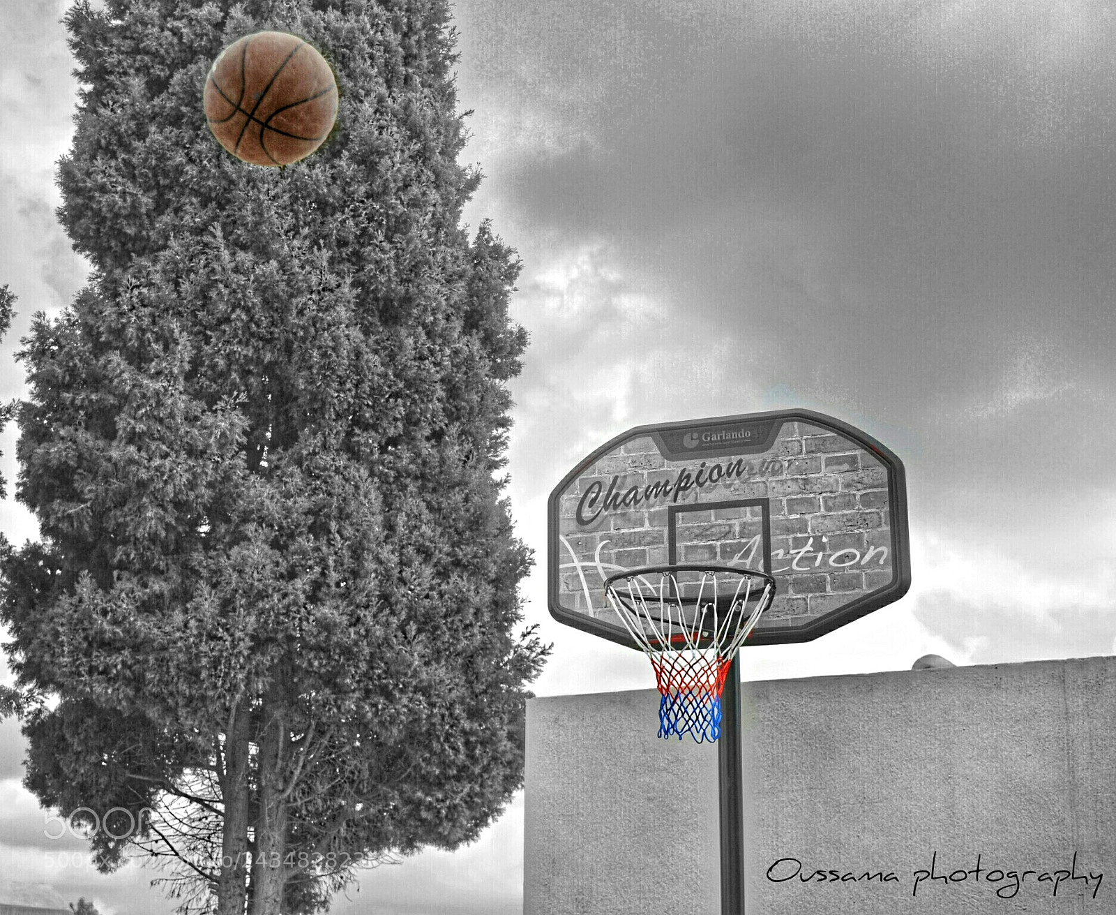 Nikon D3100 sample photo. Untitled photography