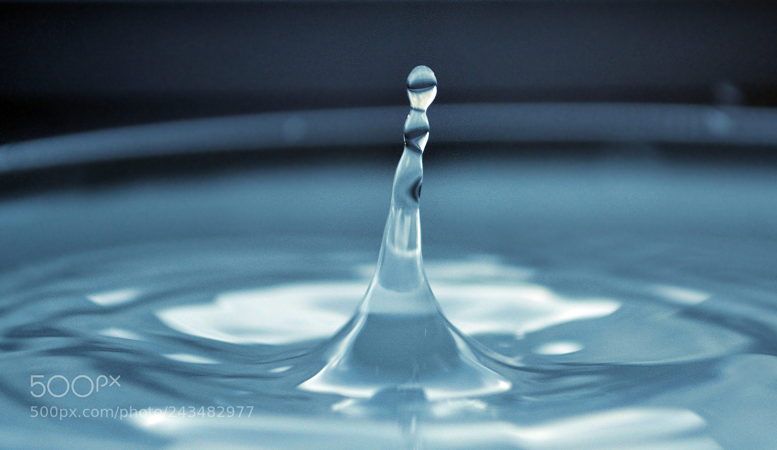 Nikon D3100 sample photo. Splash photography