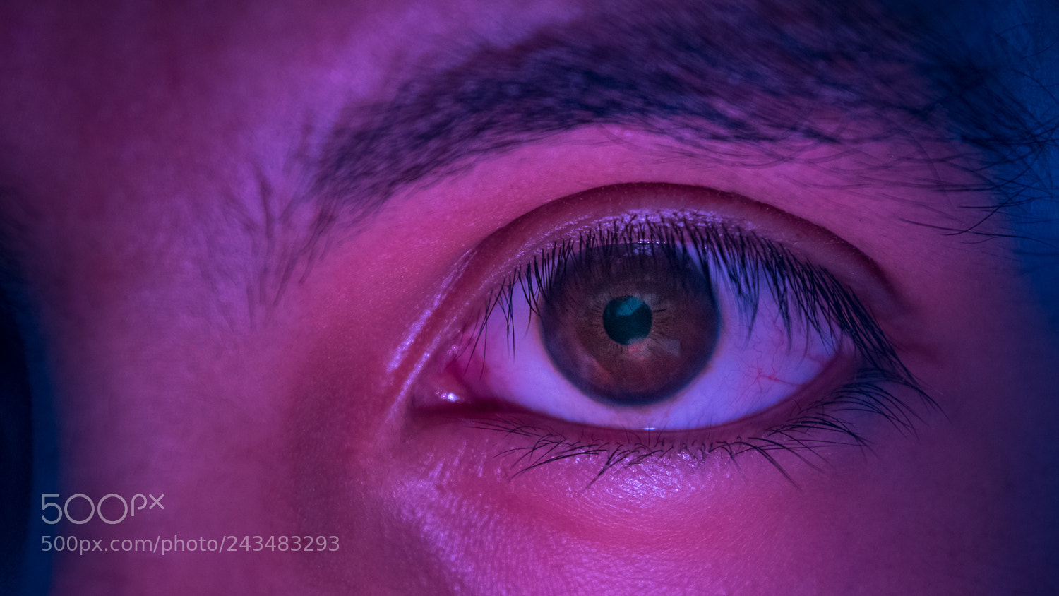 Nikon D5500 sample photo. Evil photography