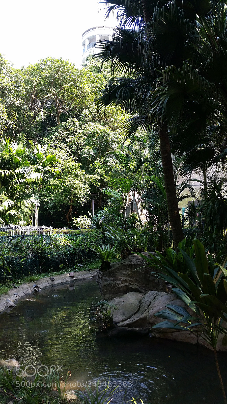 Samsung Galaxy S5 sample photo. Untitled photography