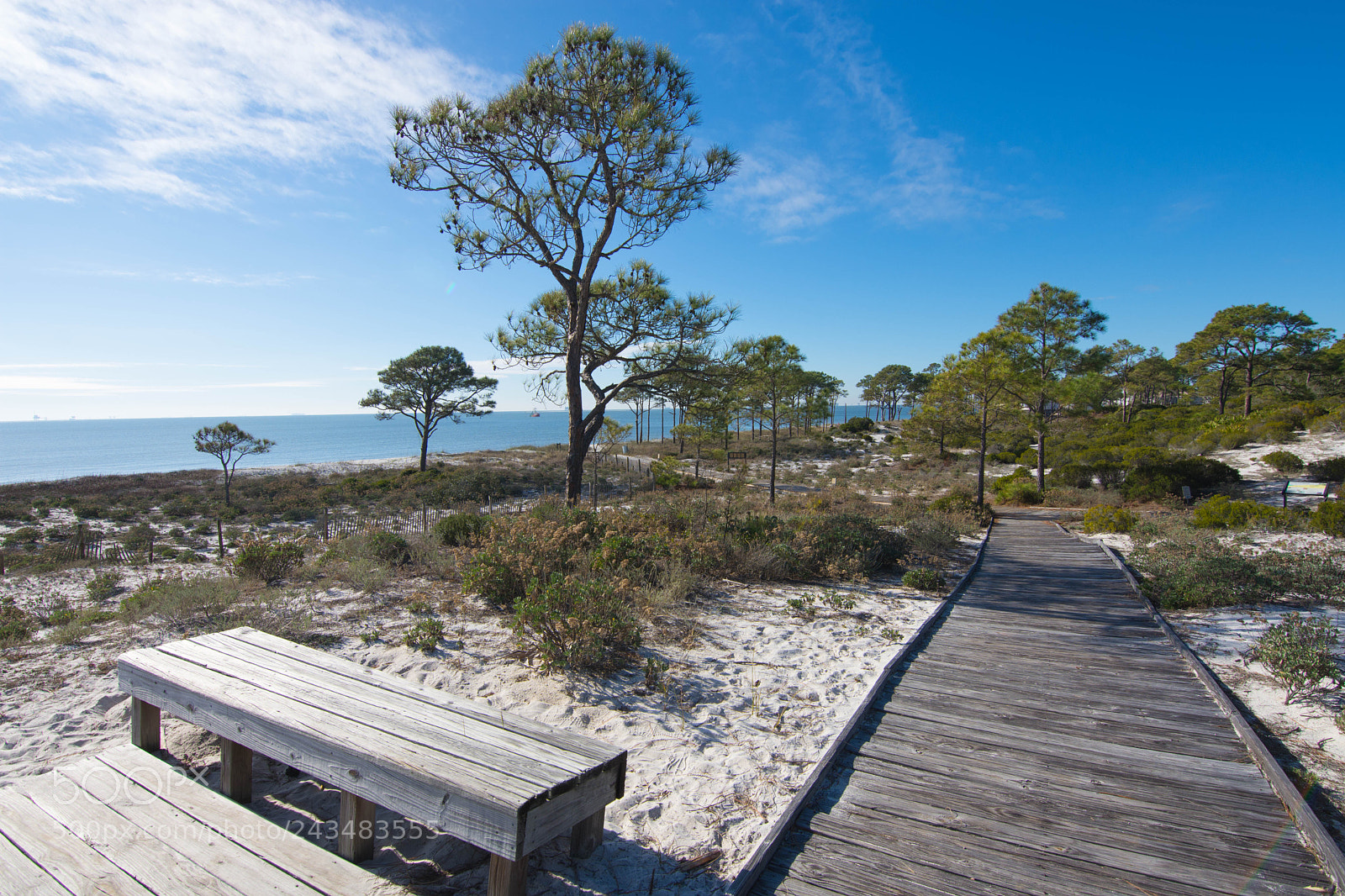 Nikon D7200 sample photo. Dauphin island photography