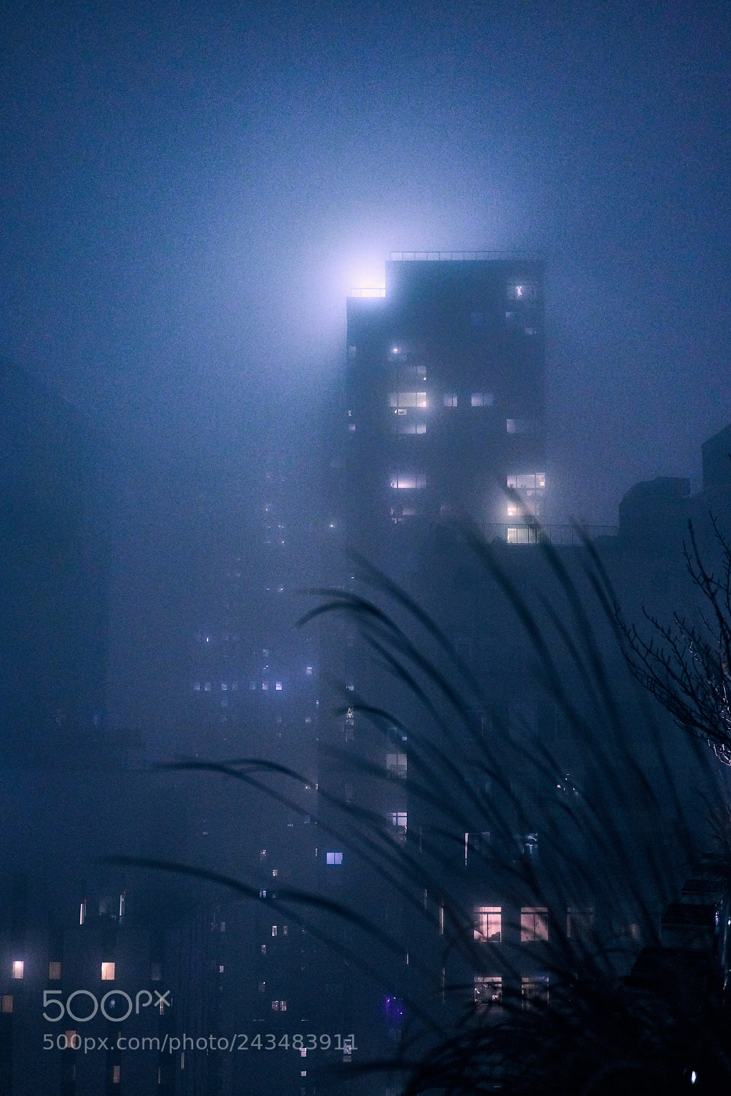 Sony a7R II sample photo. Light in the fog photography
