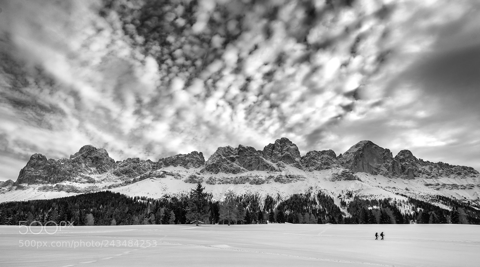 Nikon D7100 sample photo. Catinaccio black & white photography