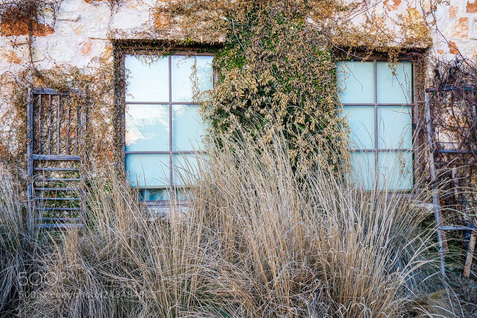 Sony a6500 sample photo. Vineyard at florence photography