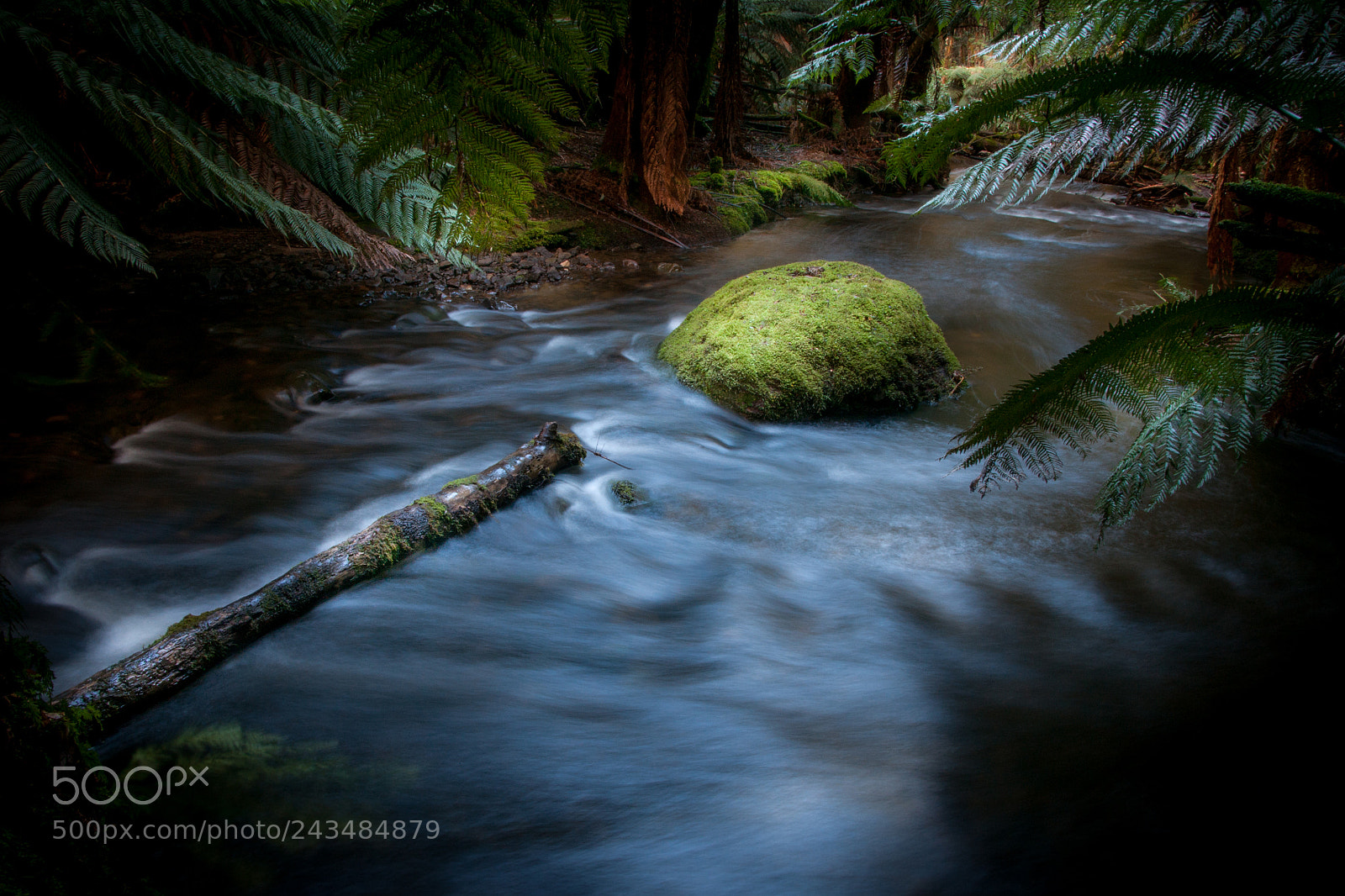 Sony Alpha DSLR-A700 sample photo. Russell falls tasmania australia photography