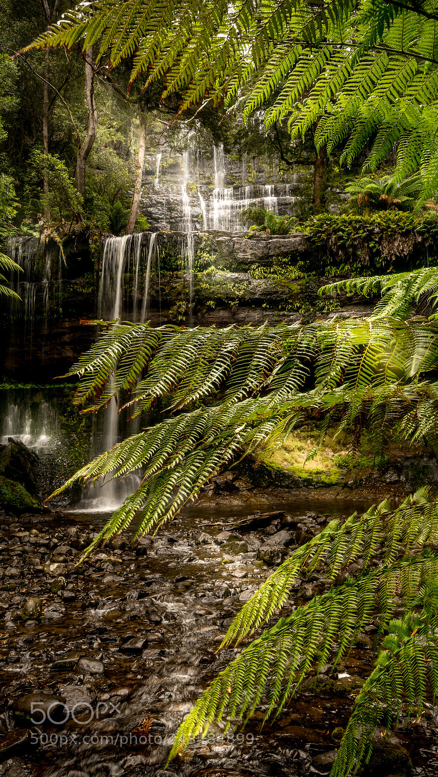 Sony a7R II sample photo. Russell falls tasmania australia photography