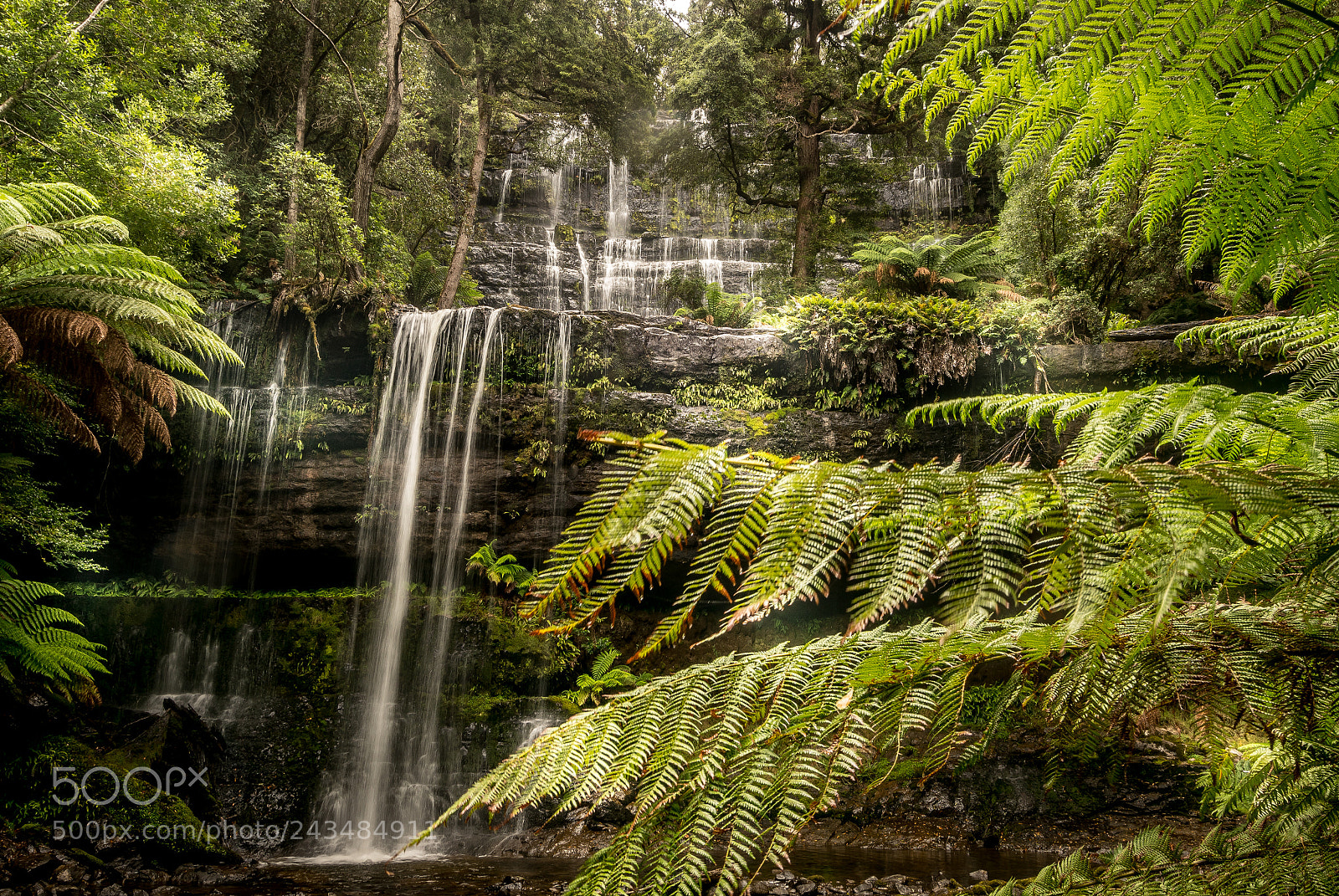 Sony a7R II sample photo. Russell falls tasmania australia photography