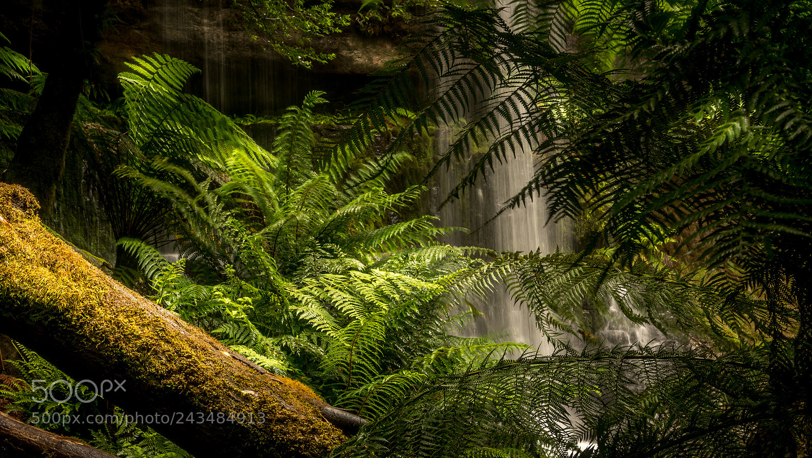 Sony a7R II sample photo. Russell falls tasmania australia photography