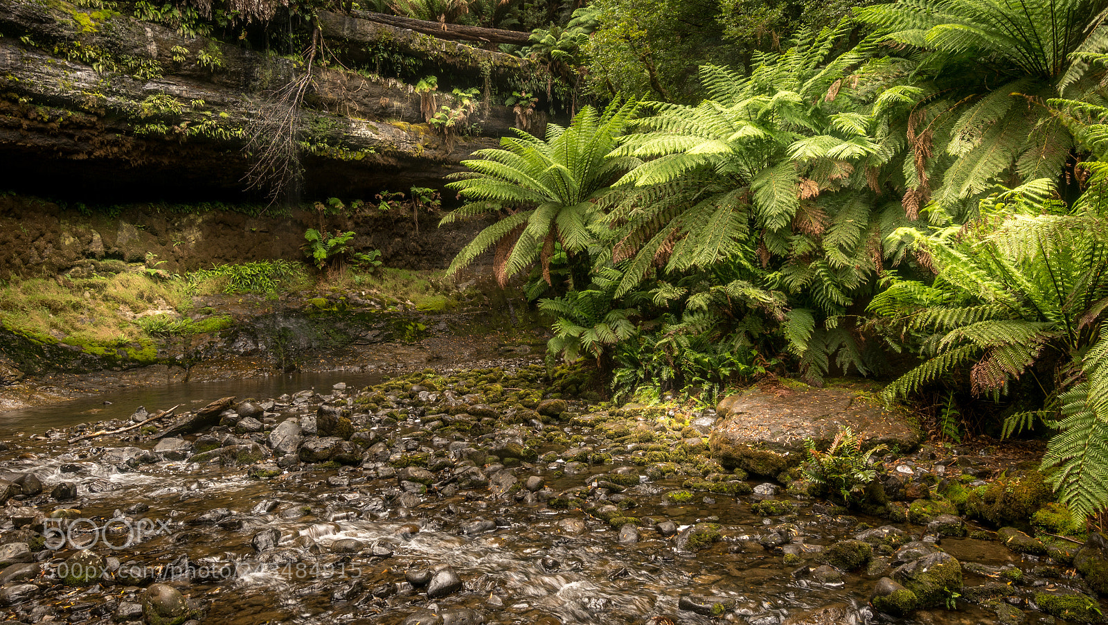 Sony a7R II sample photo. Russell falls tasmania australia photography