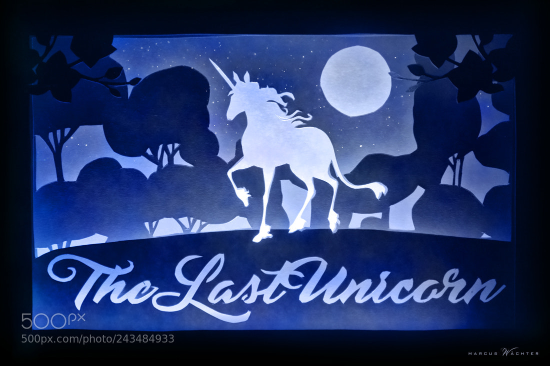 Nikon D3100 sample photo. Papercut - the last photography