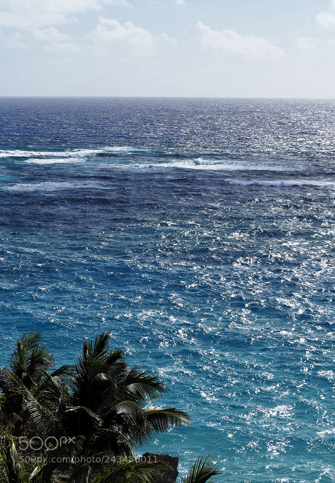 Olympus OM-D E-M10 II sample photo. The reef photography