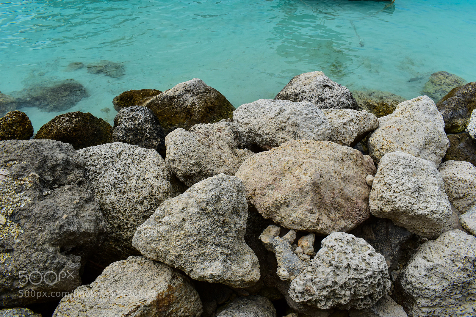 Nikon D5600 sample photo. Untitled photography