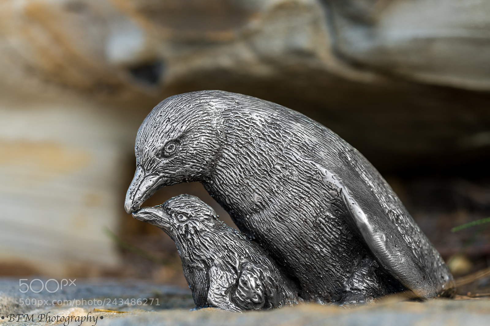 Sony a7R II sample photo. Penguins photography