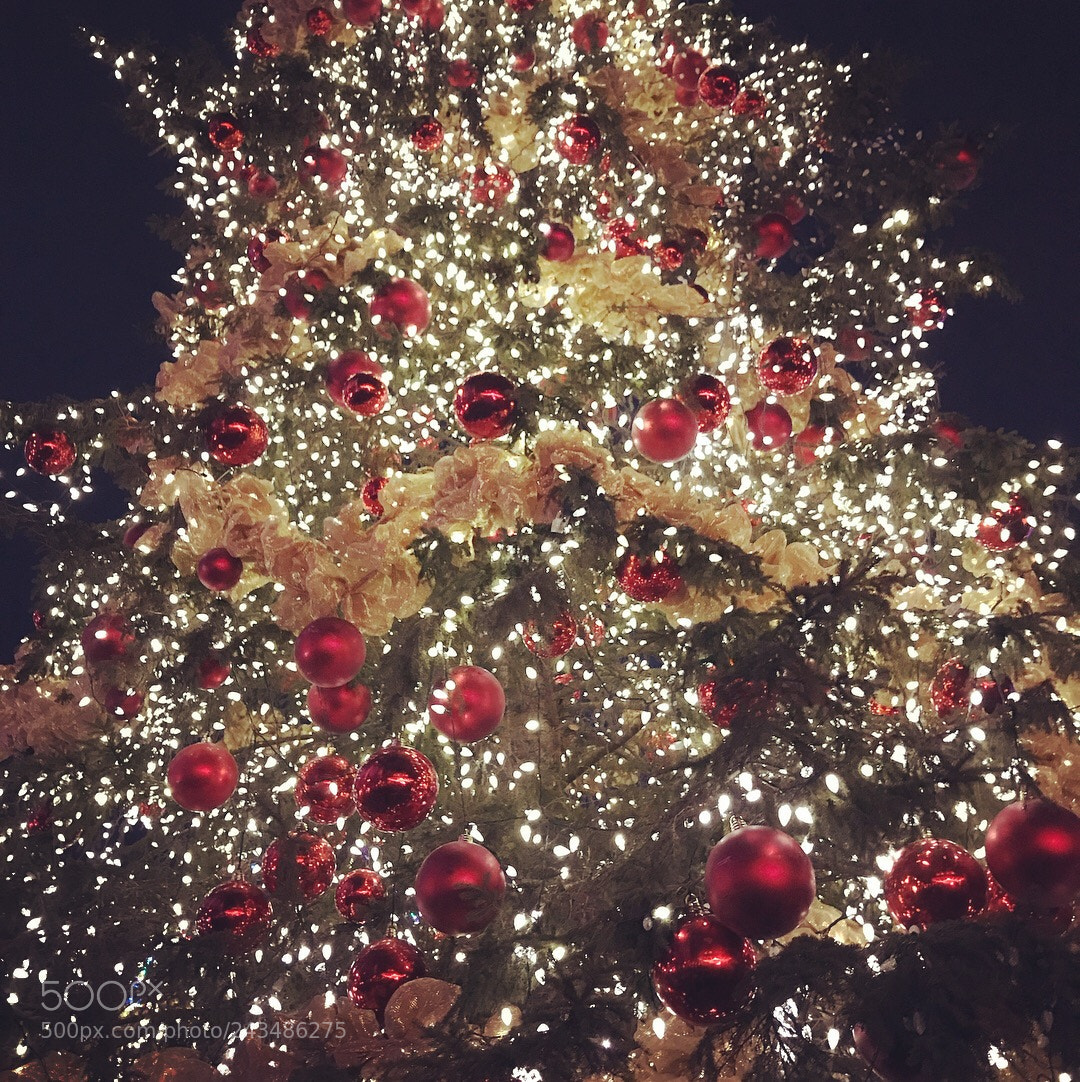 Apple iPhone 7 Plus sample photo. Christmas tree photography
