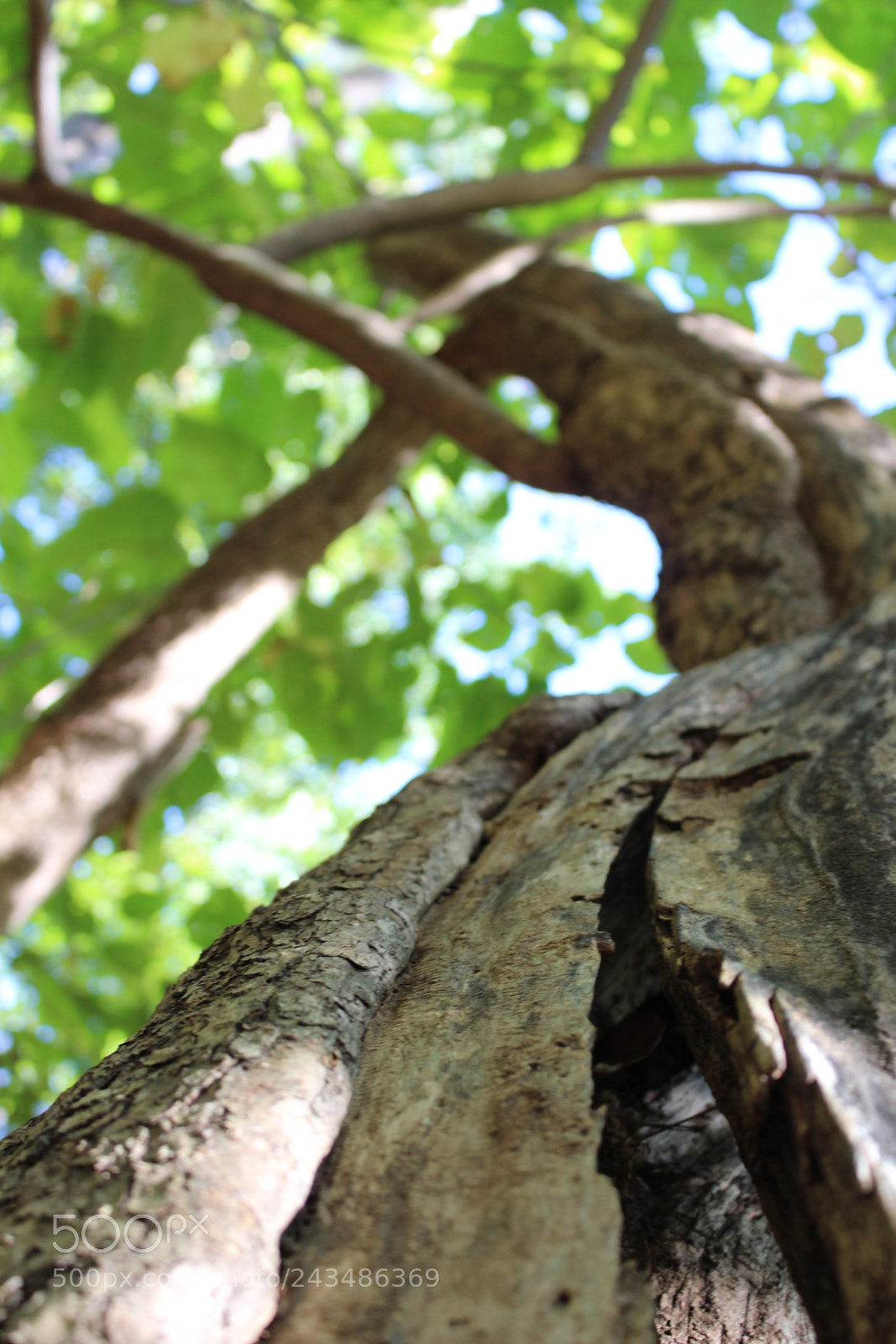 Canon EOS 700D (EOS Rebel T5i / EOS Kiss X7i) sample photo. [] photography