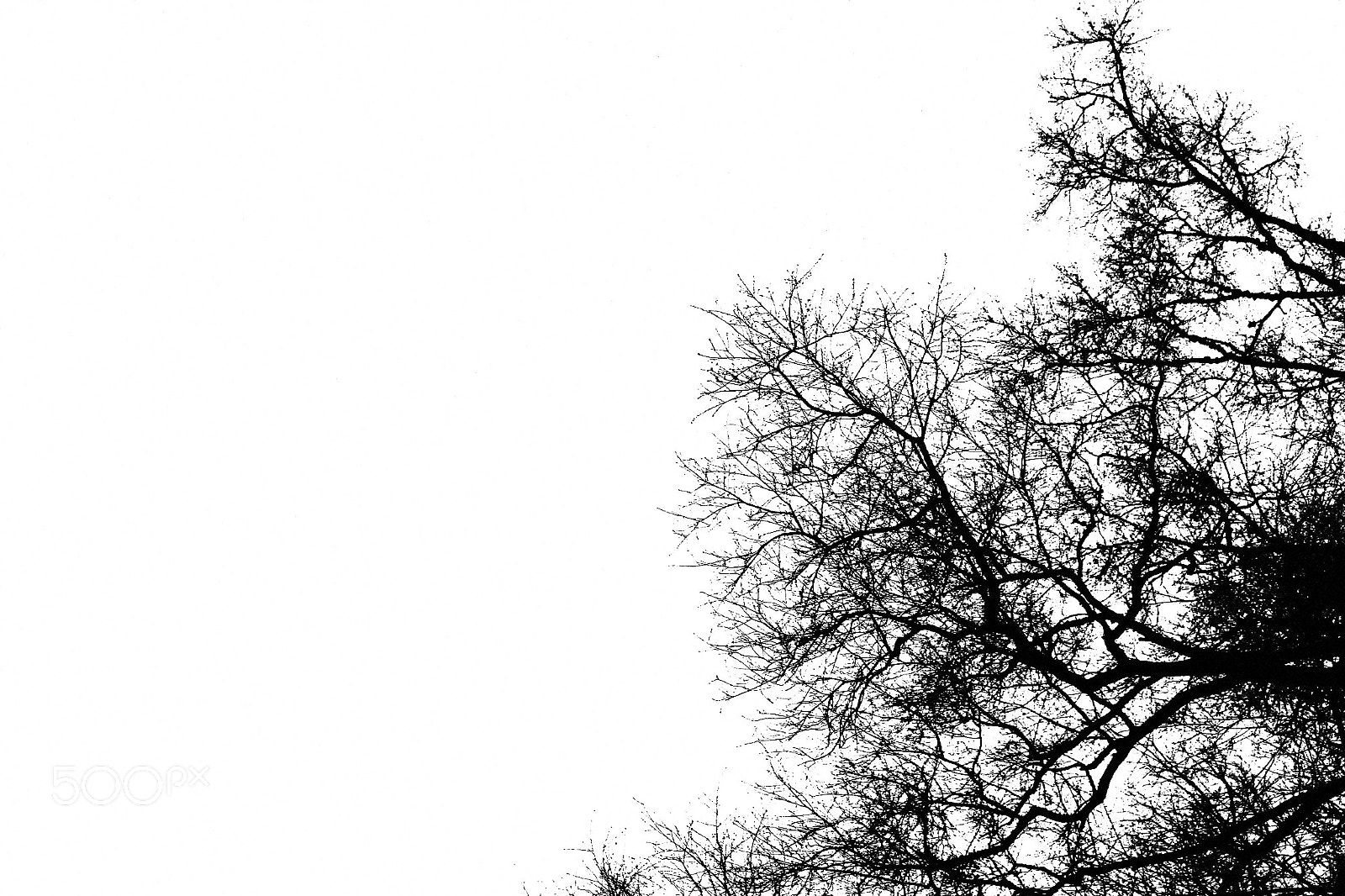 Canon EOS 700D (EOS Rebel T5i / EOS Kiss X7i) sample photo. [] photography