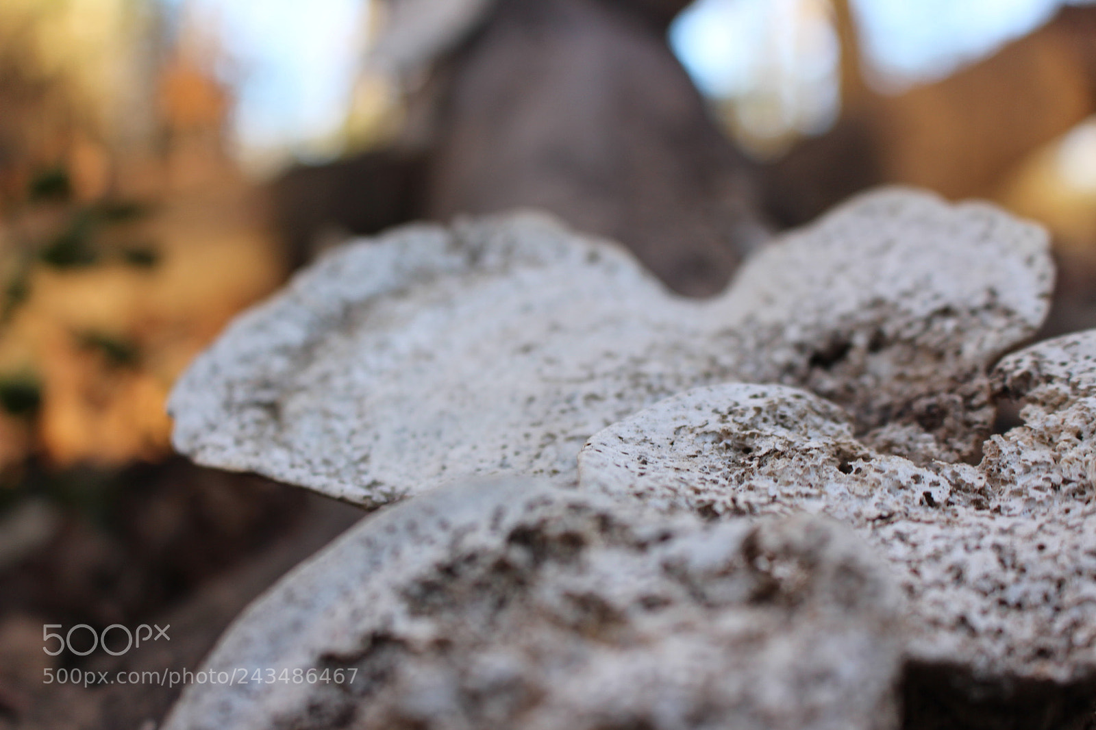 Canon EOS 700D (EOS Rebel T5i / EOS Kiss X7i) sample photo. [] photography