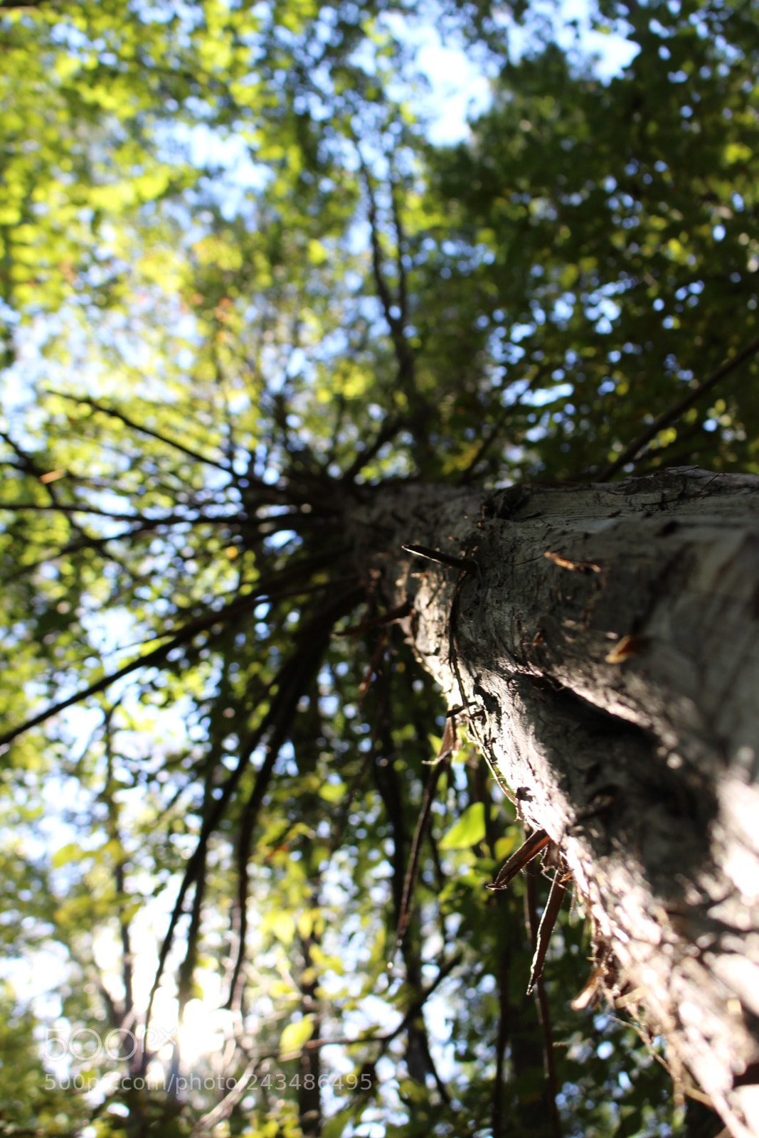 Canon EOS 700D (EOS Rebel T5i / EOS Kiss X7i) sample photo. [] photography