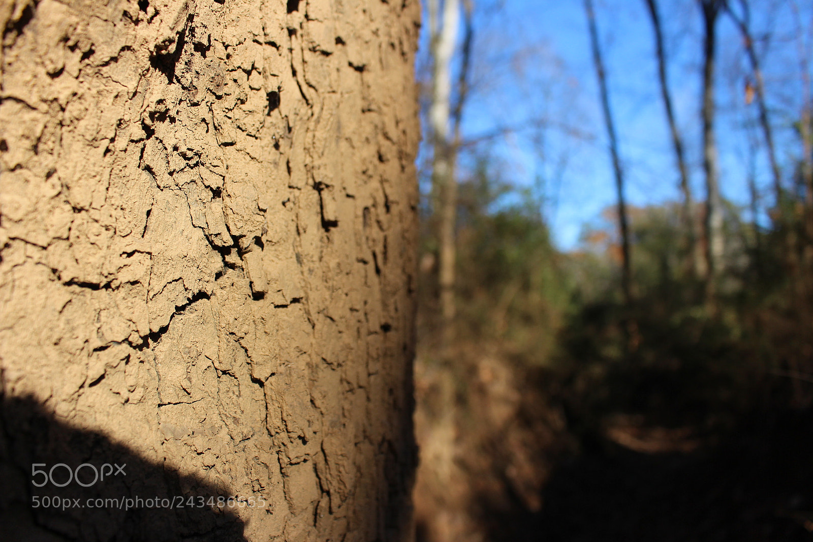 Canon EOS 700D (EOS Rebel T5i / EOS Kiss X7i) sample photo. [] photography