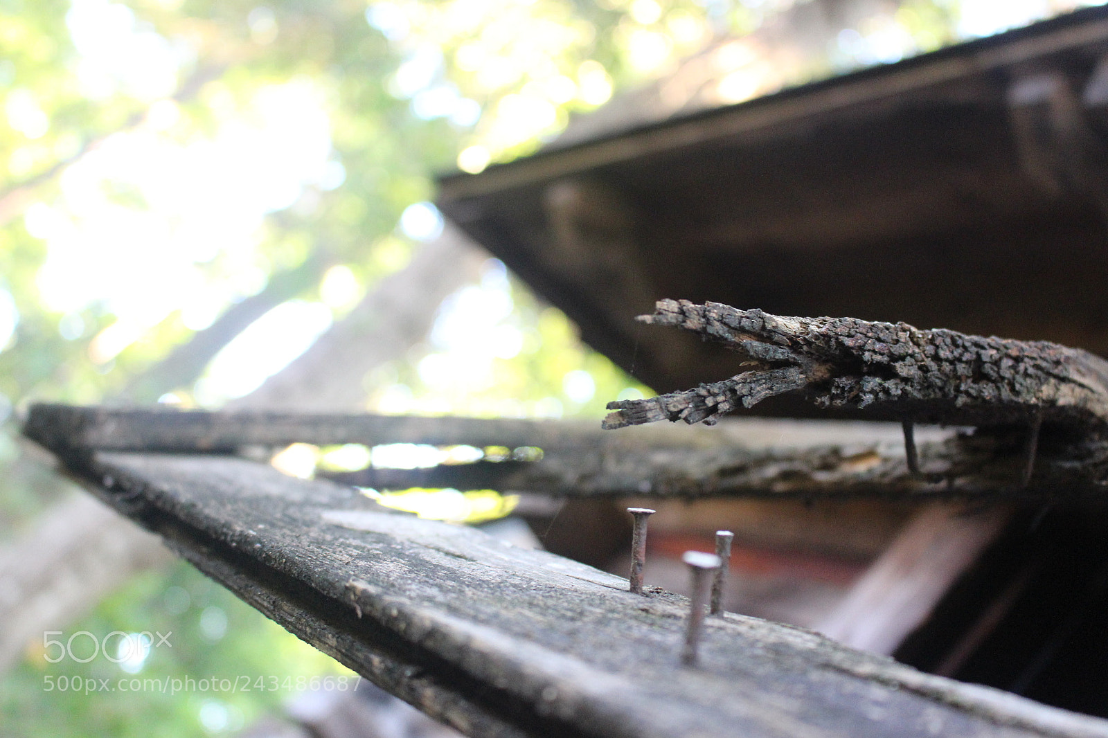 Canon EOS 700D (EOS Rebel T5i / EOS Kiss X7i) sample photo. [] photography
