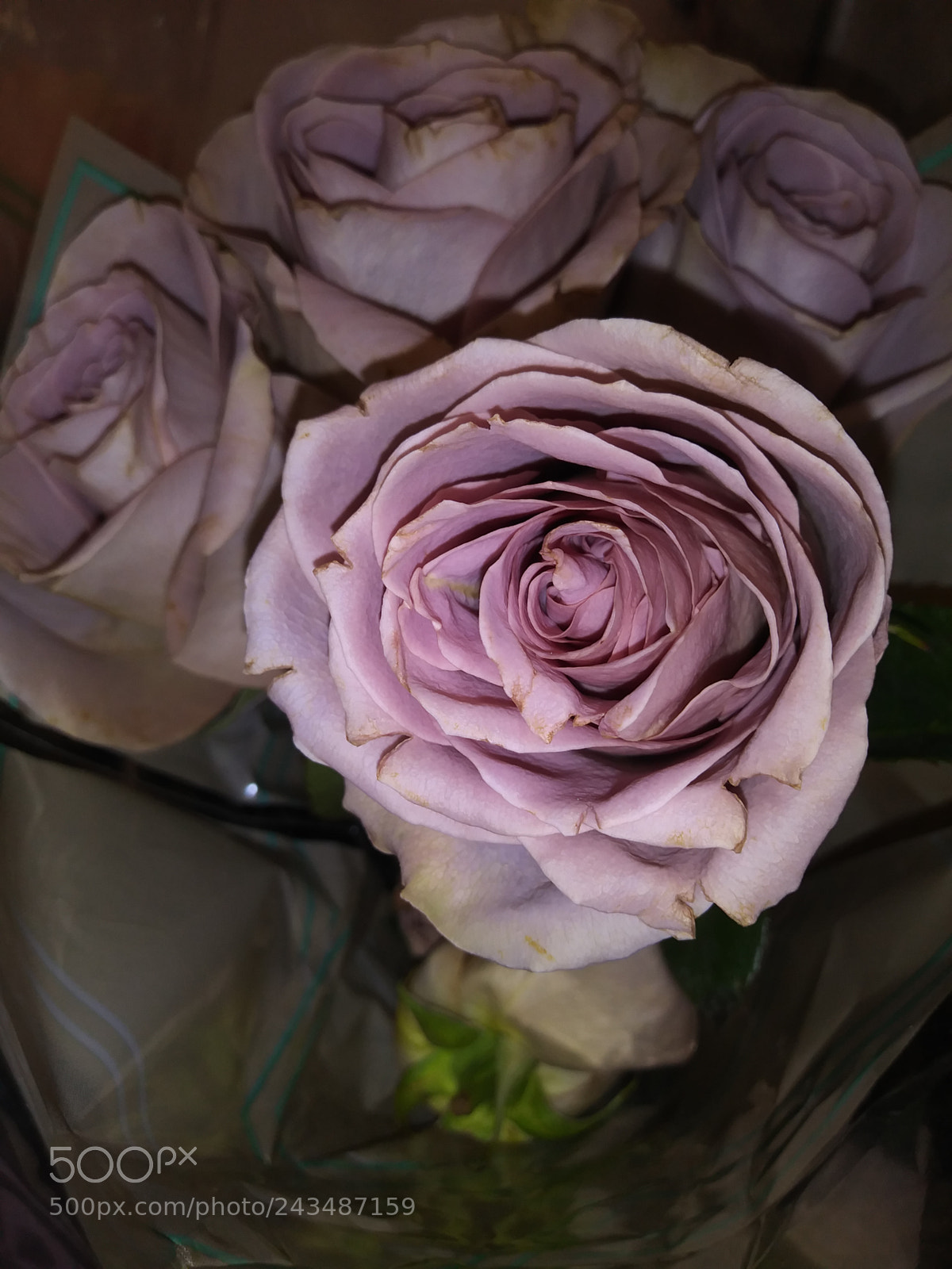 LG K20 PLUS sample photo. Untitled photography