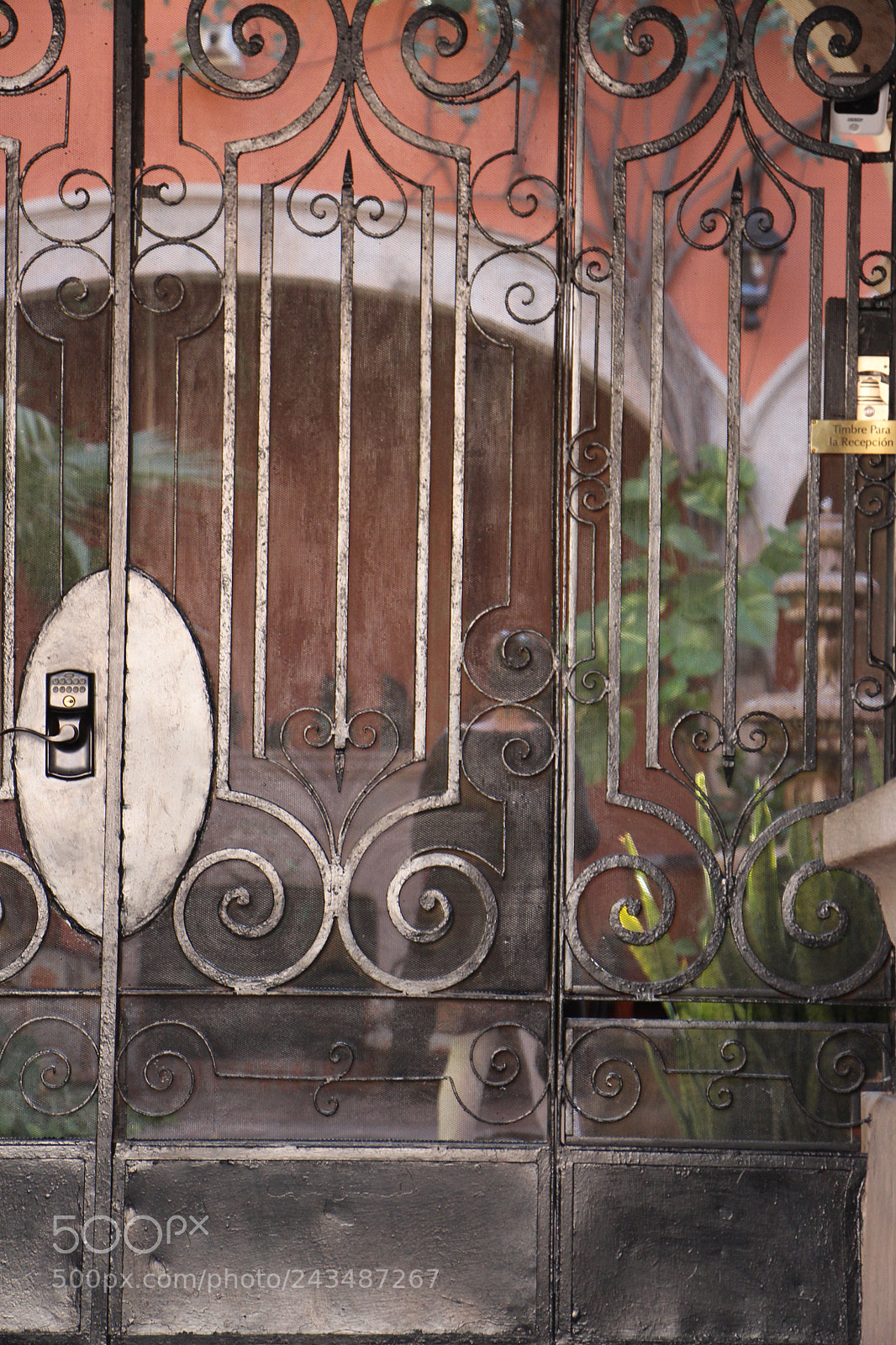 Canon EOS 700D (EOS Rebel T5i / EOS Kiss X7i) sample photo. Img o photography