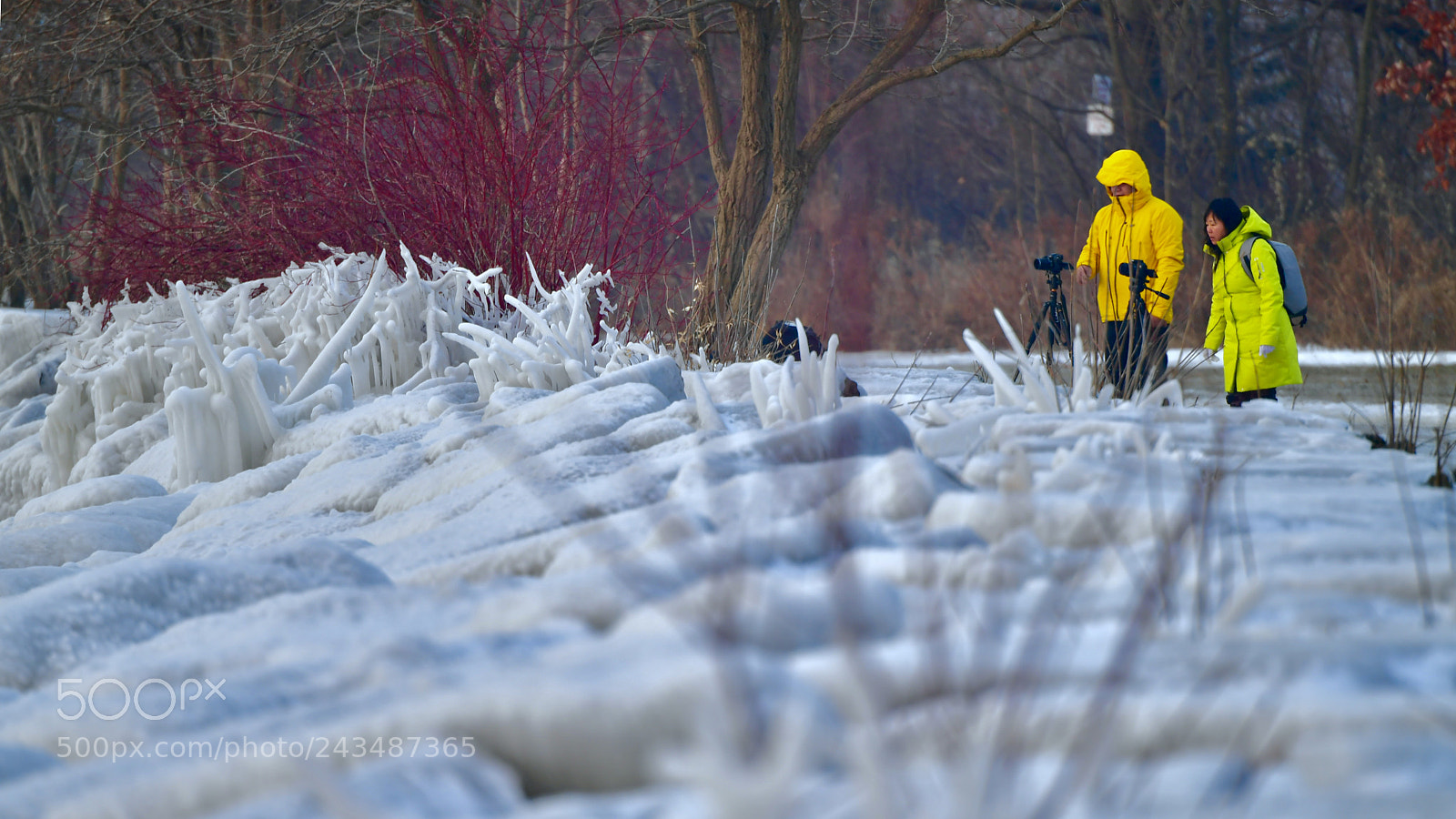 Nikon D5 sample photo. Photographer at winter s photography