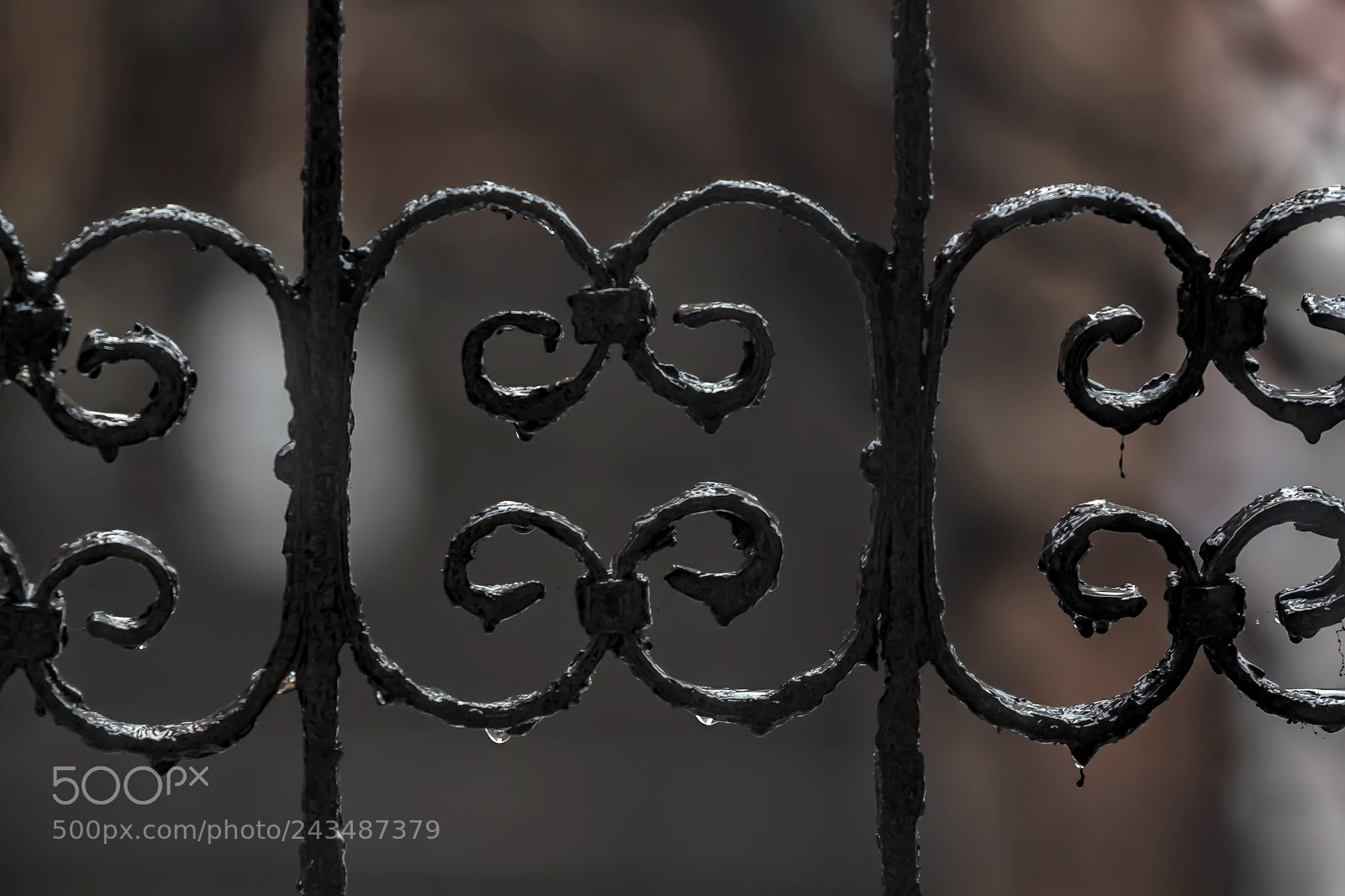 Canon EOS 60D sample photo. Wrought iron and raindrops photography