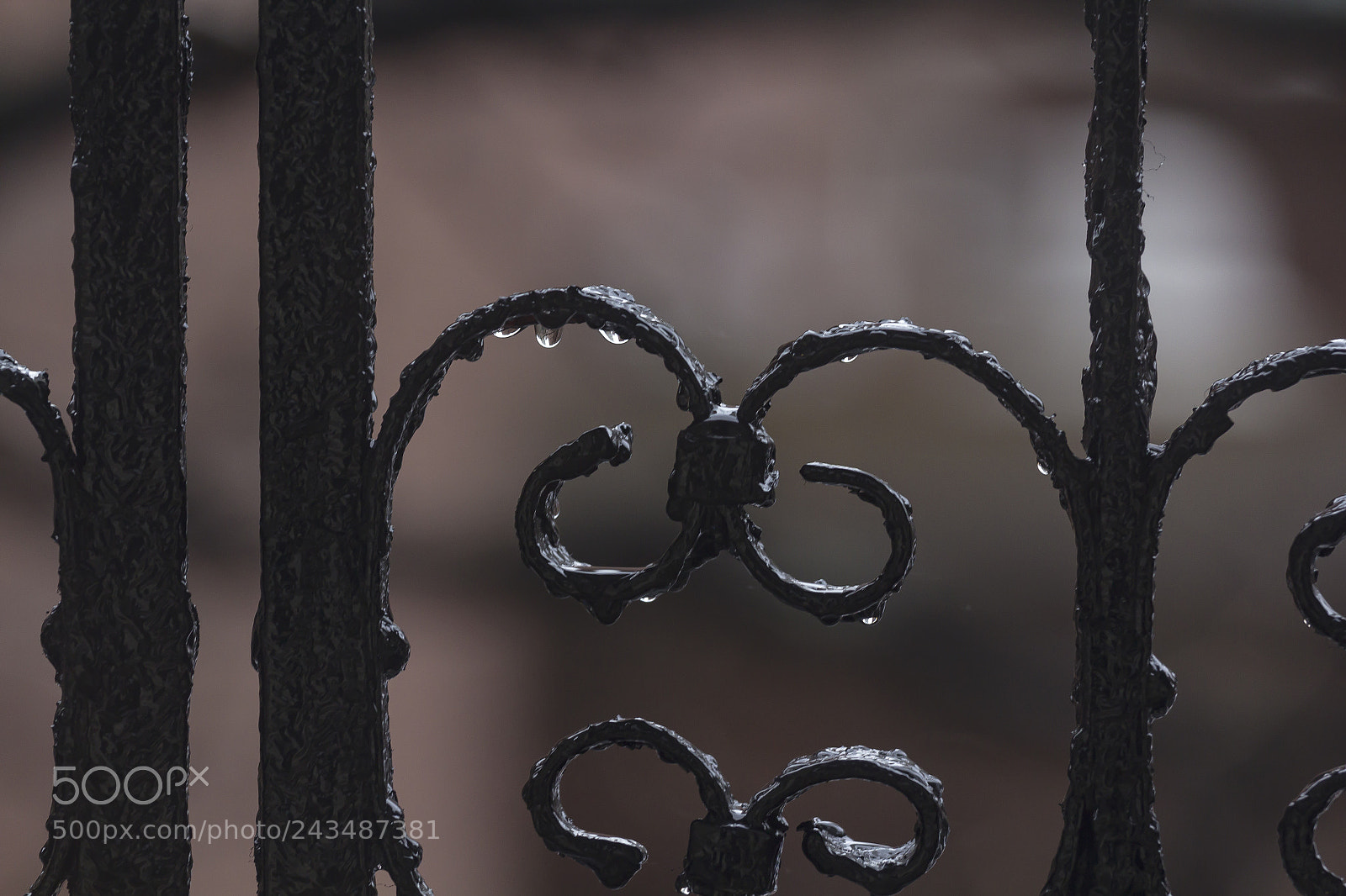 Canon EOS 60D sample photo. Wrought iron fence and photography