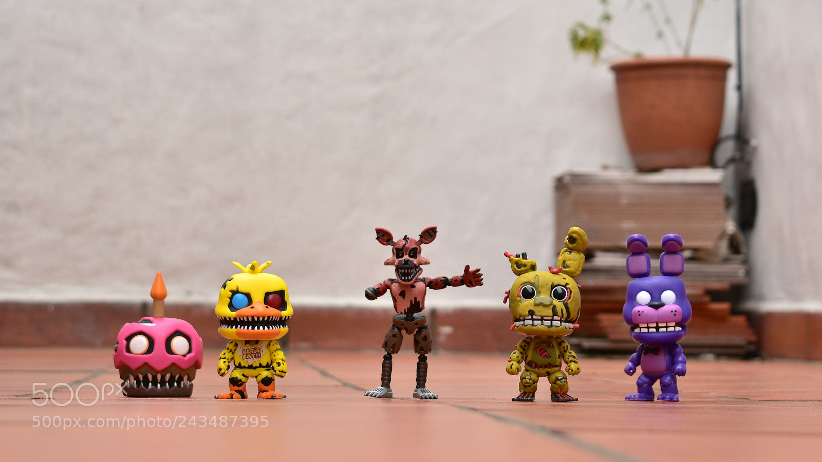 Nikon D3400 sample photo. Untitled photography