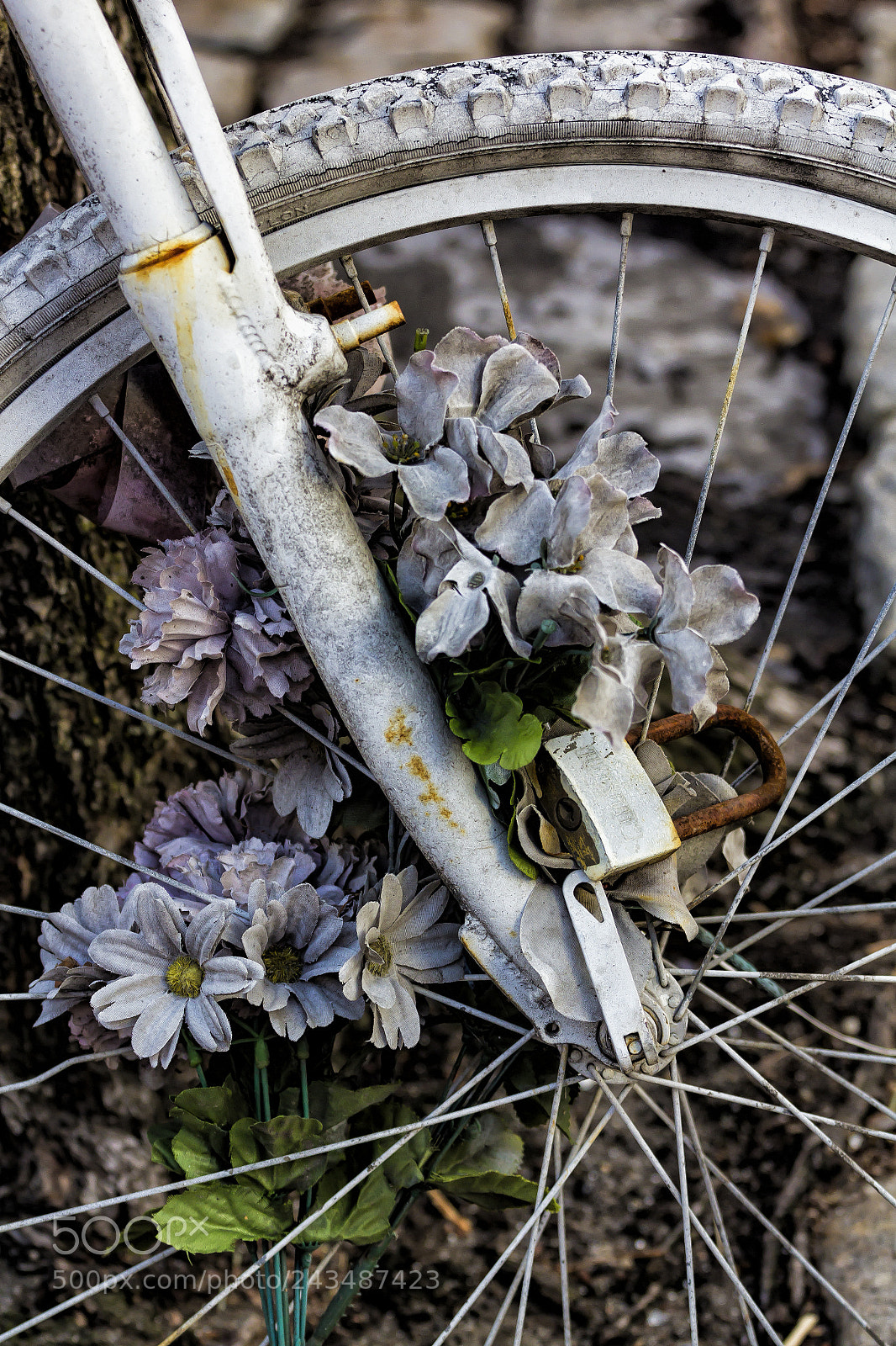 Canon EOS 60D sample photo. Bicycle still life photography
