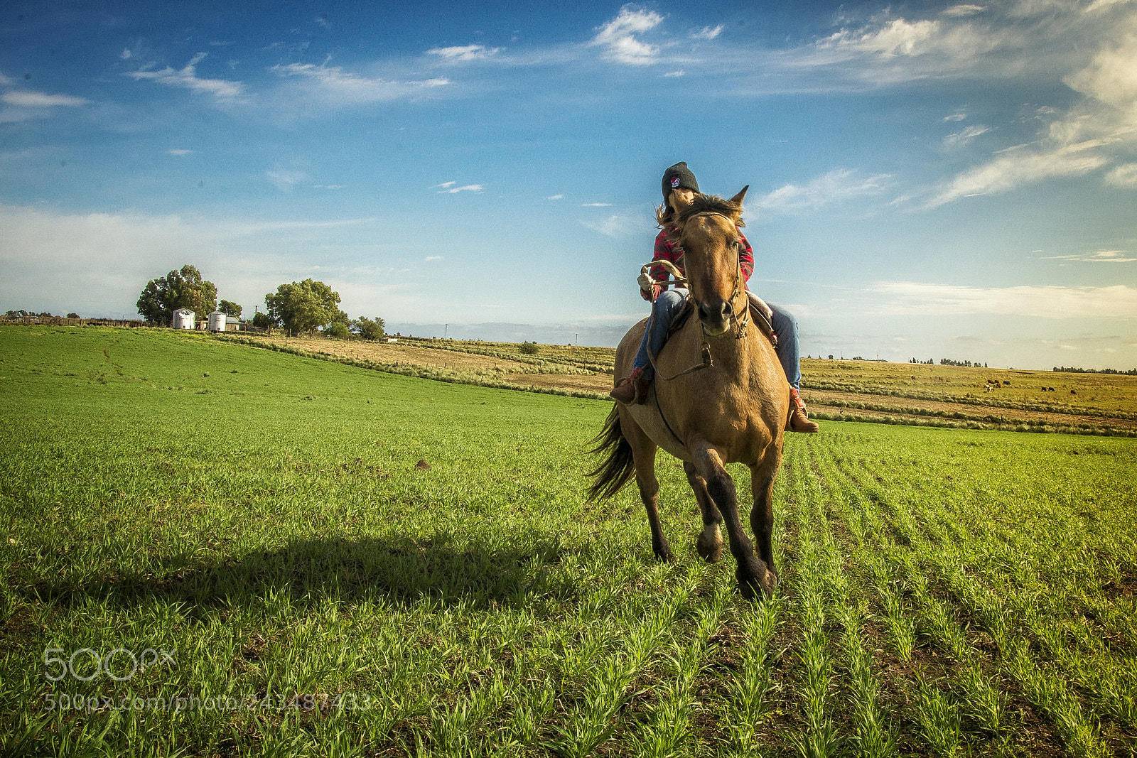 Nikon D610 sample photo. Mr. ed photography