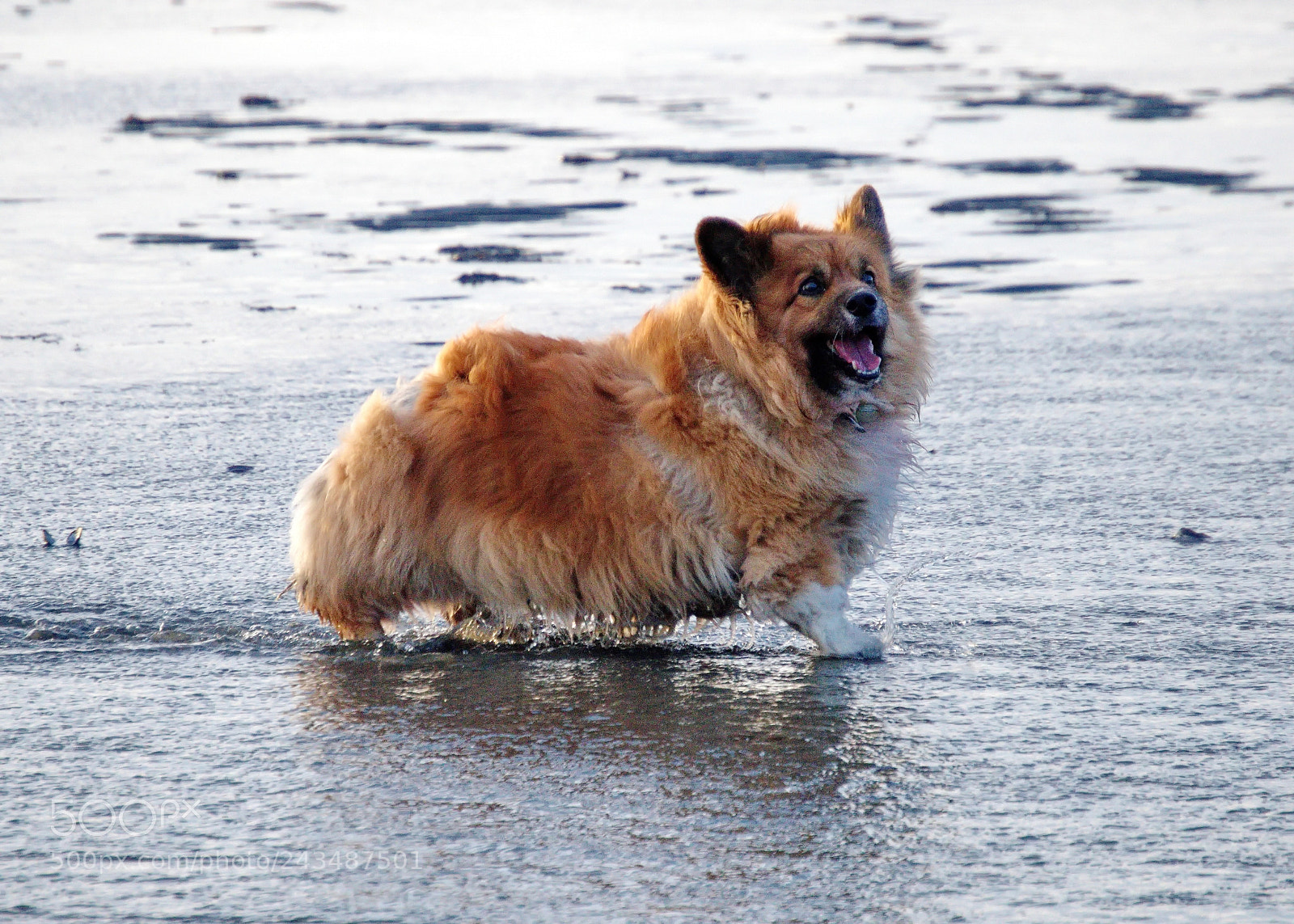Nikon D3200 sample photo. Cold water bliss photography