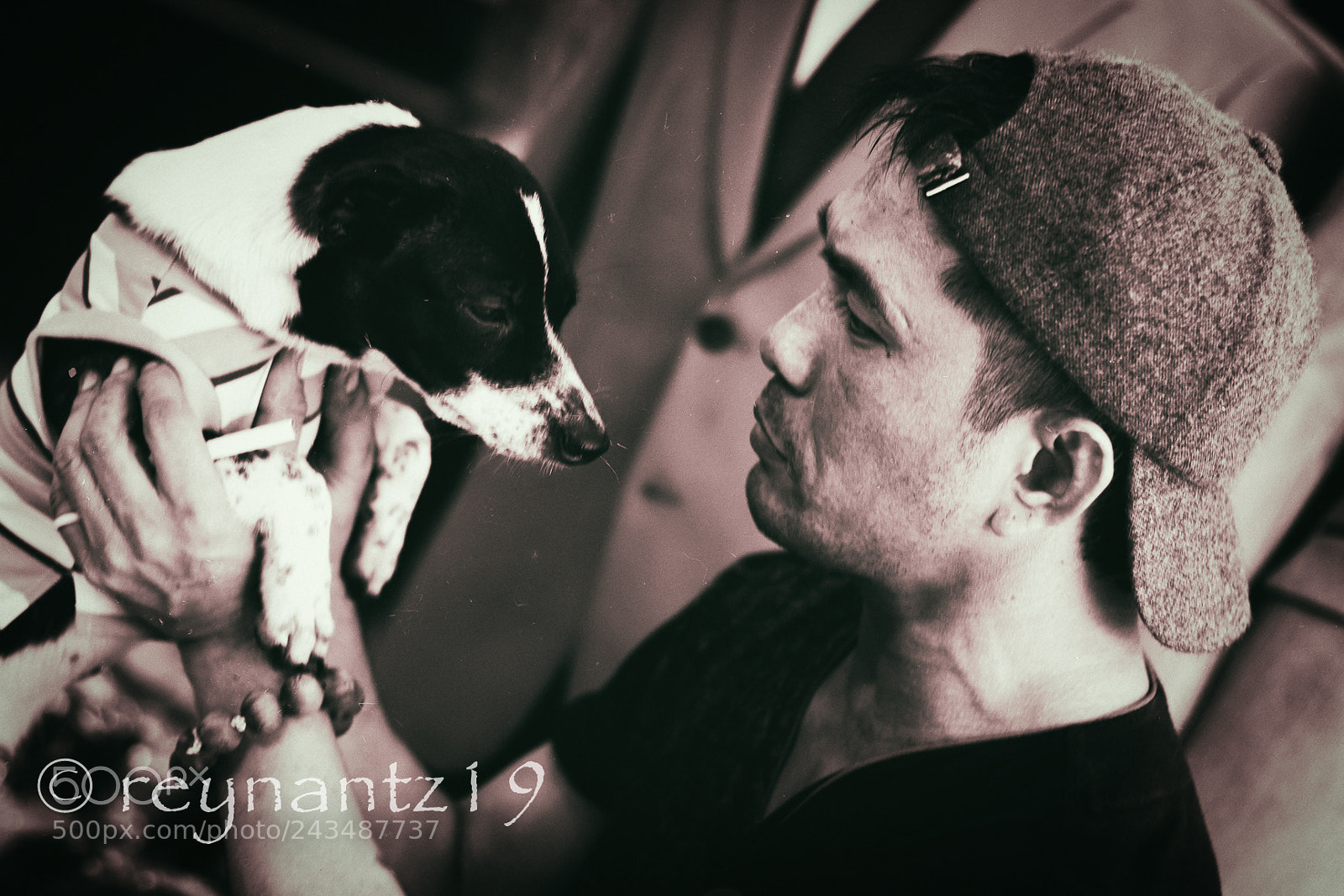 Canon EOS 60D sample photo. Red's puppy. photography