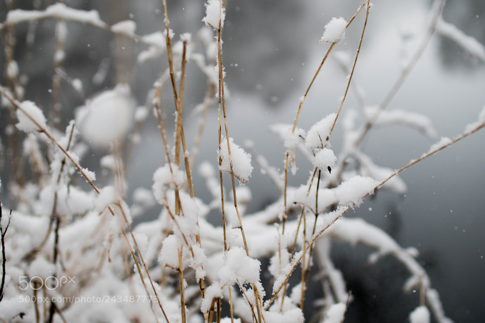 Pentax KP sample photo. Snow lake photography