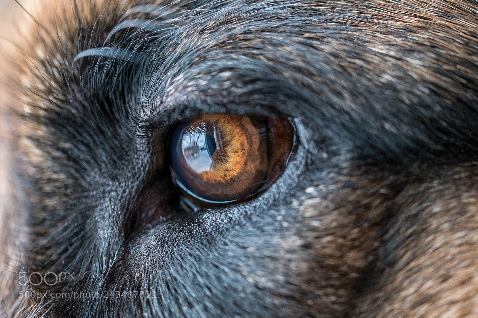 Nikon D850 sample photo. Looking at you photography